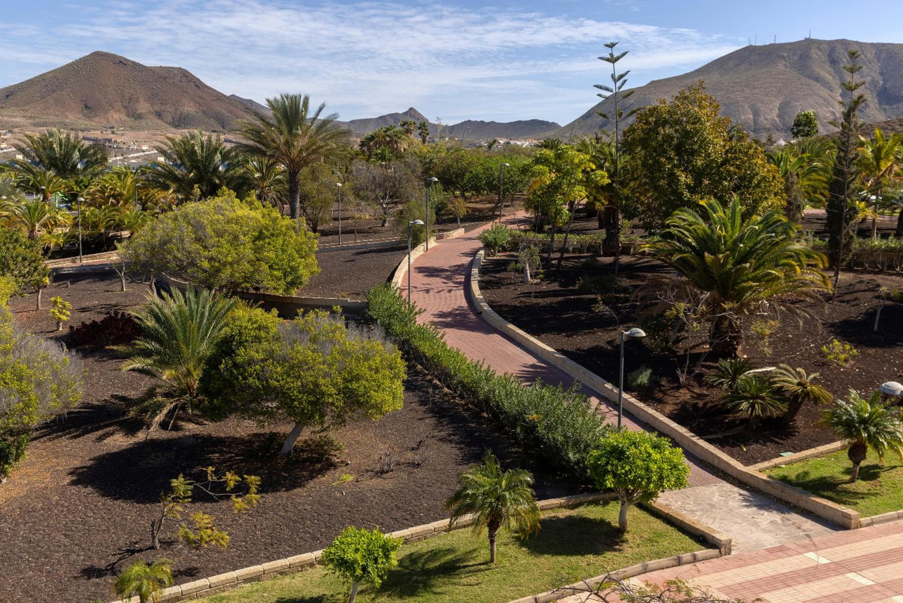 whala!tenerife — 3