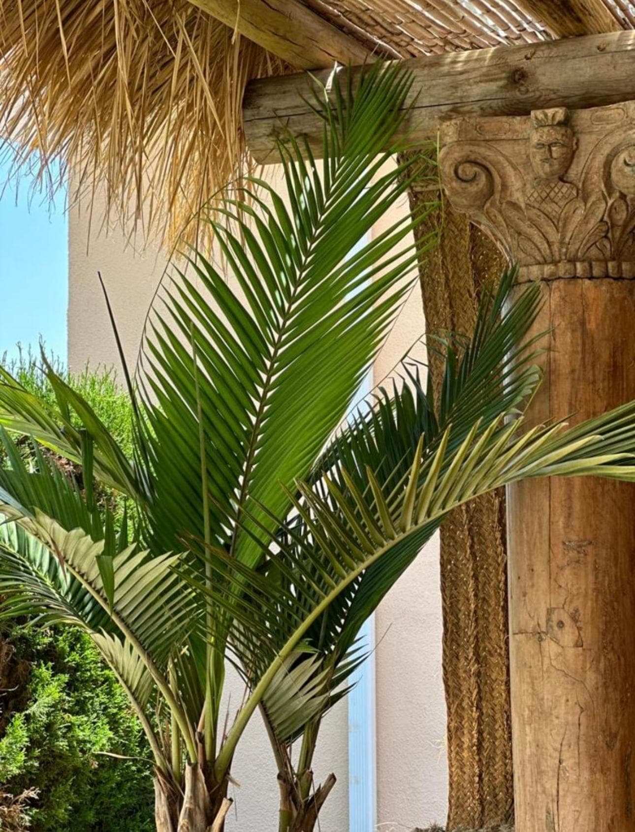 Luxury B&B Villa Tauro — 11