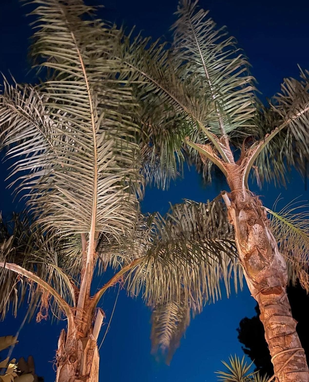 Luxury B&B Villa Tauro — 1