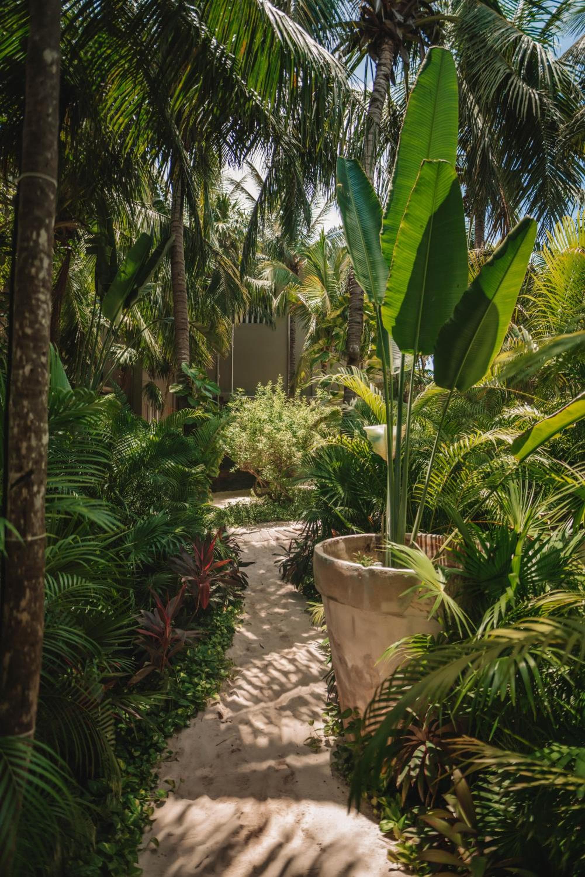 Casa Malca — 21