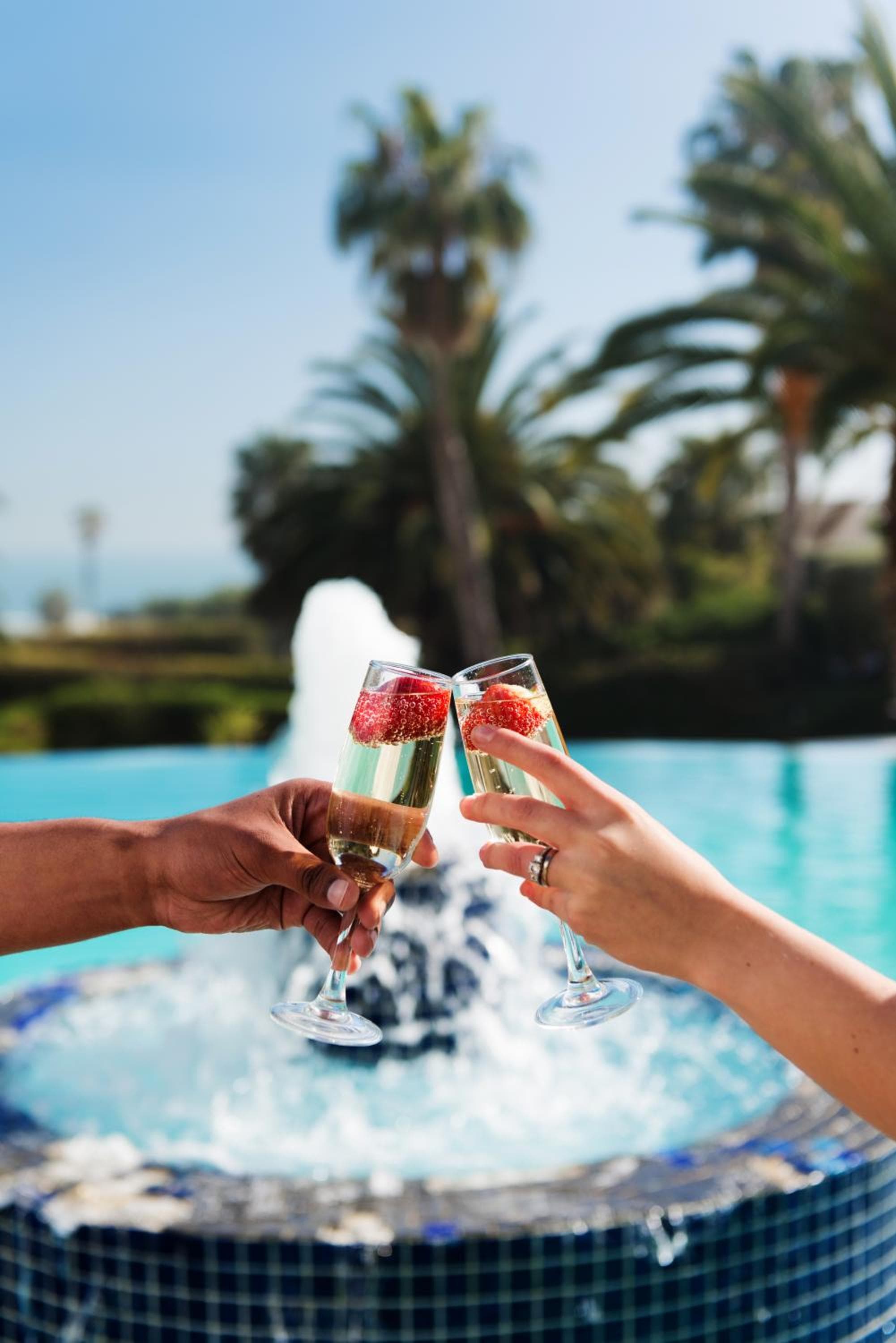 President Hotel hotel, 4 Alexander Road, Bantry Bay, Cape Town, South Africa — photo 6