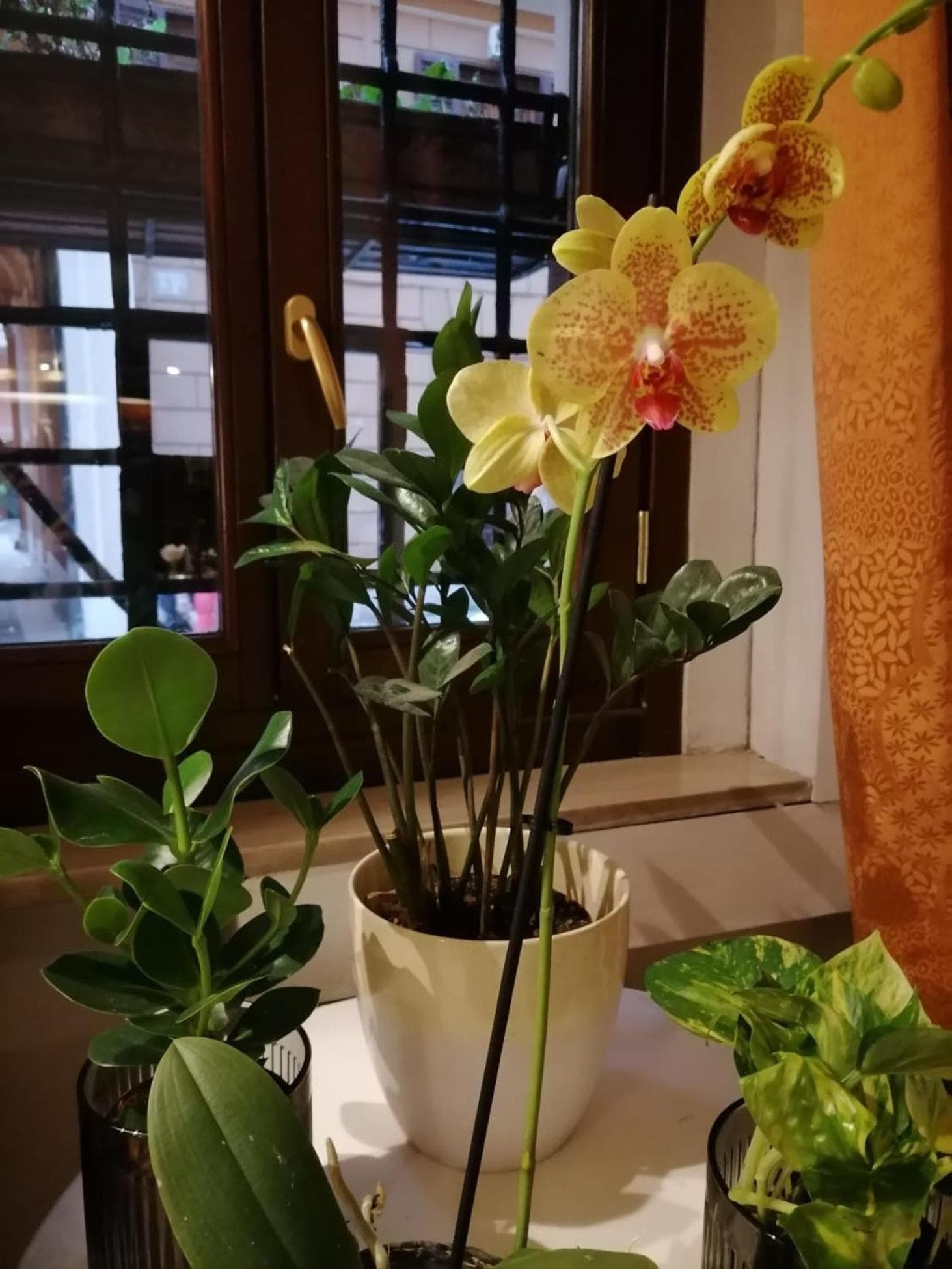 Hotel Julia Trevi - Spagna — 10