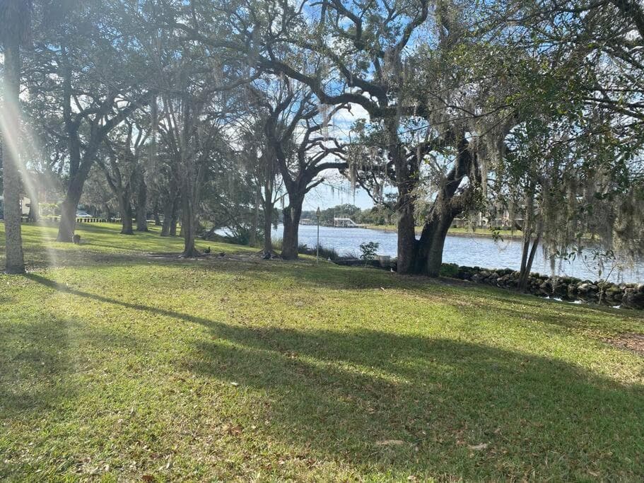 Chic pad in center of Seminole Heights-322 — 26