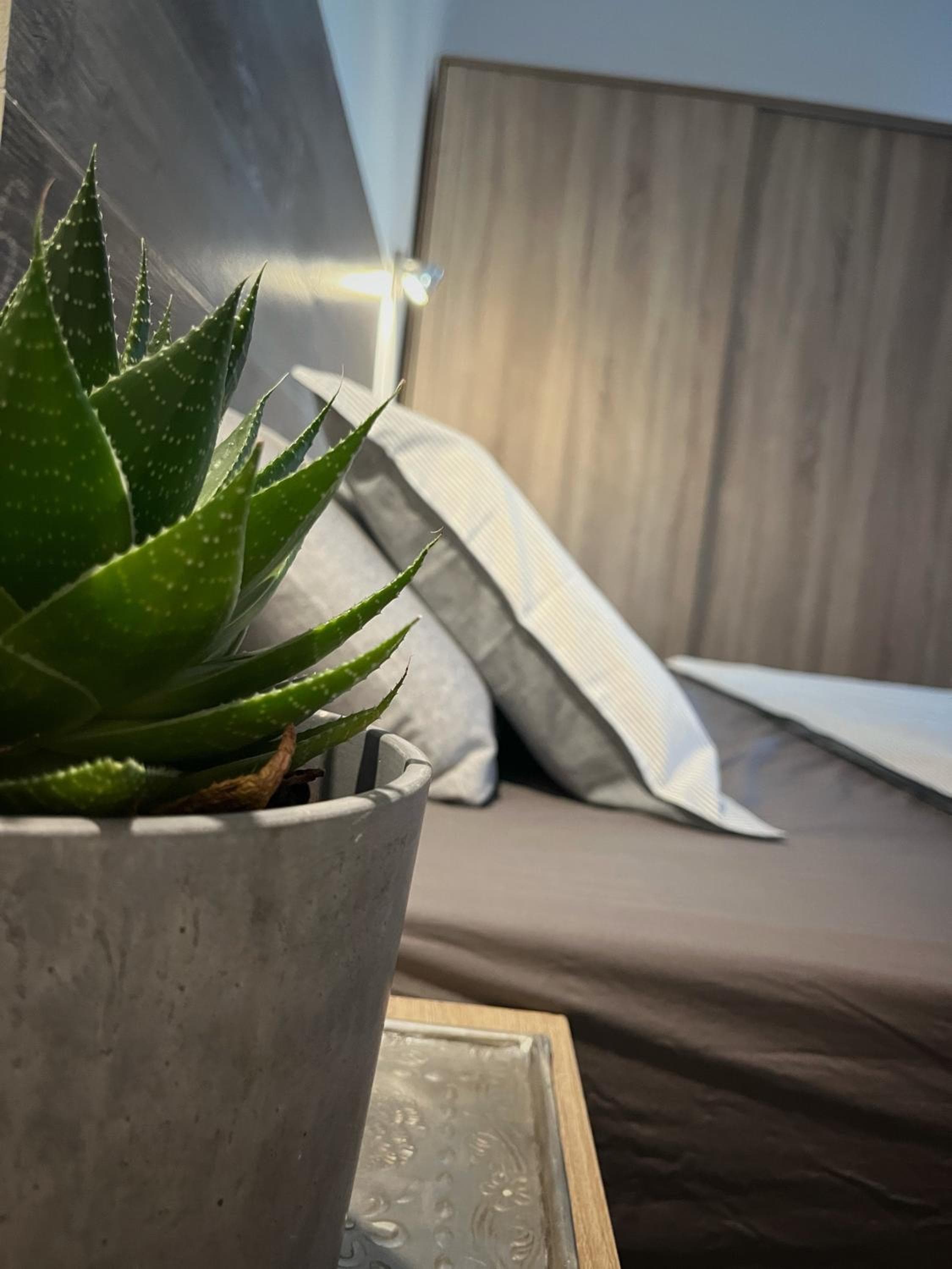 BuzzStays: 1-Bed Bungalow, Garden, Near Yumbo & Beach — 2