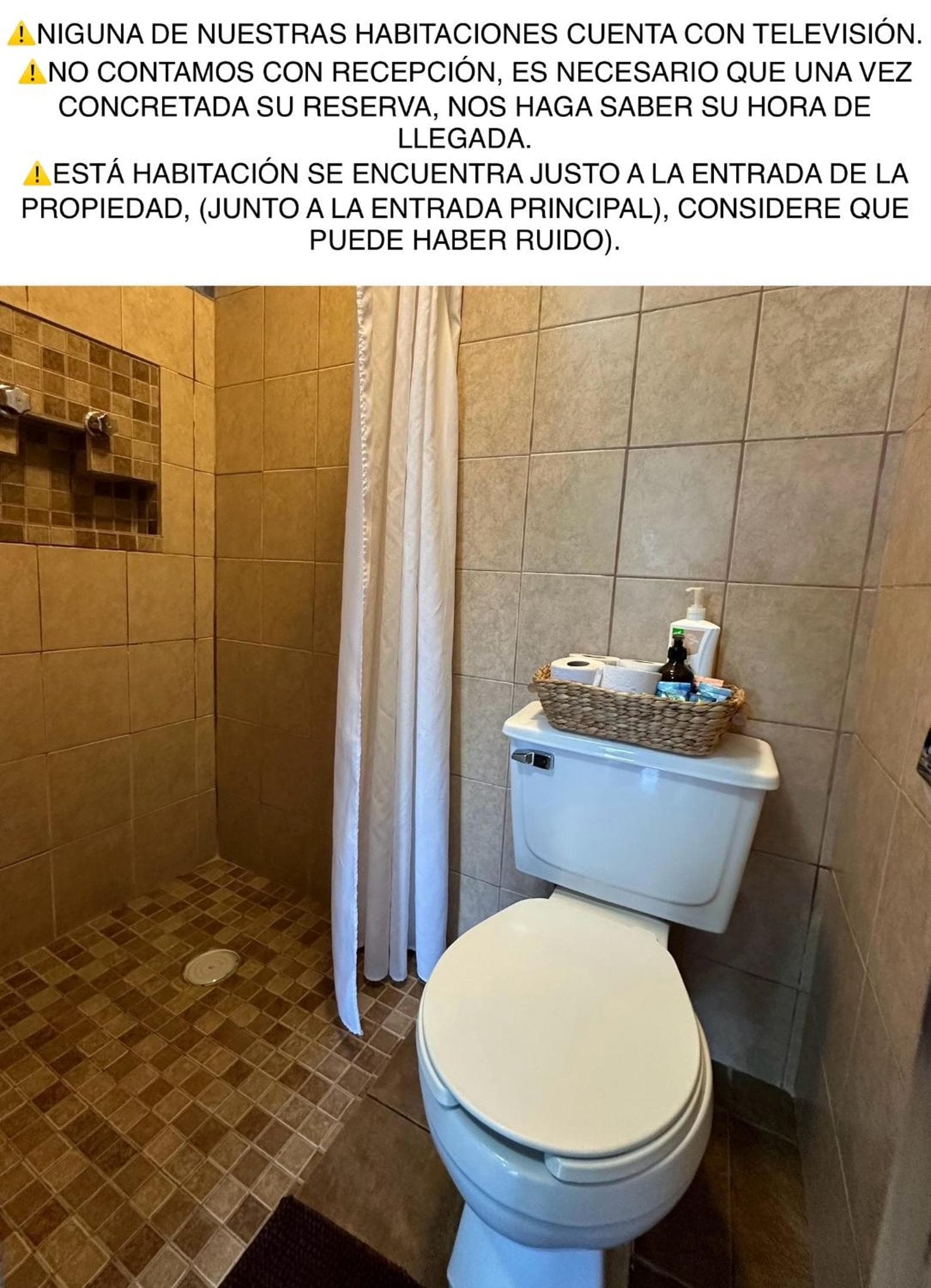 CABO BOHEMIA Tropische Gartenstudios — 15