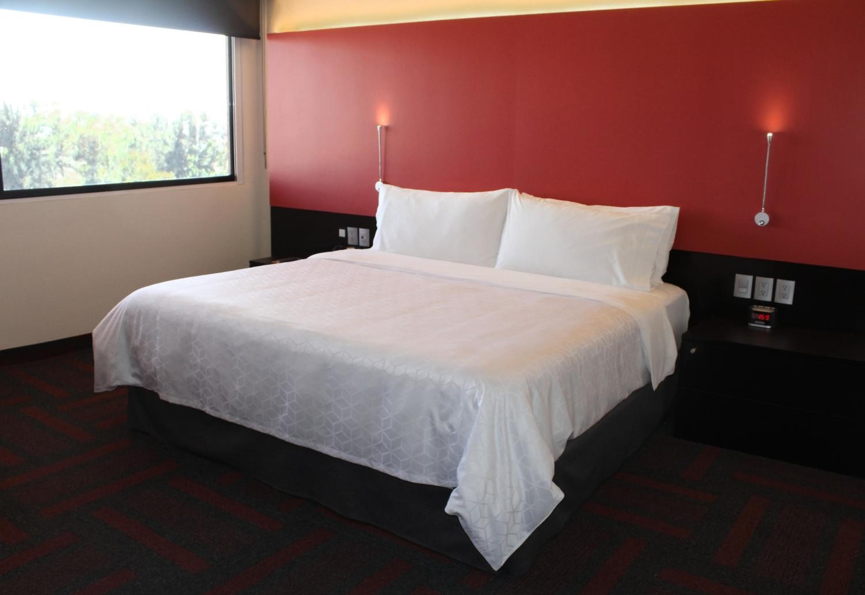 Holiday Inn México Dalí Aeropuerto, un hotel IHG — 6