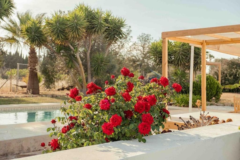 Charmante Ibiza Villa — 26