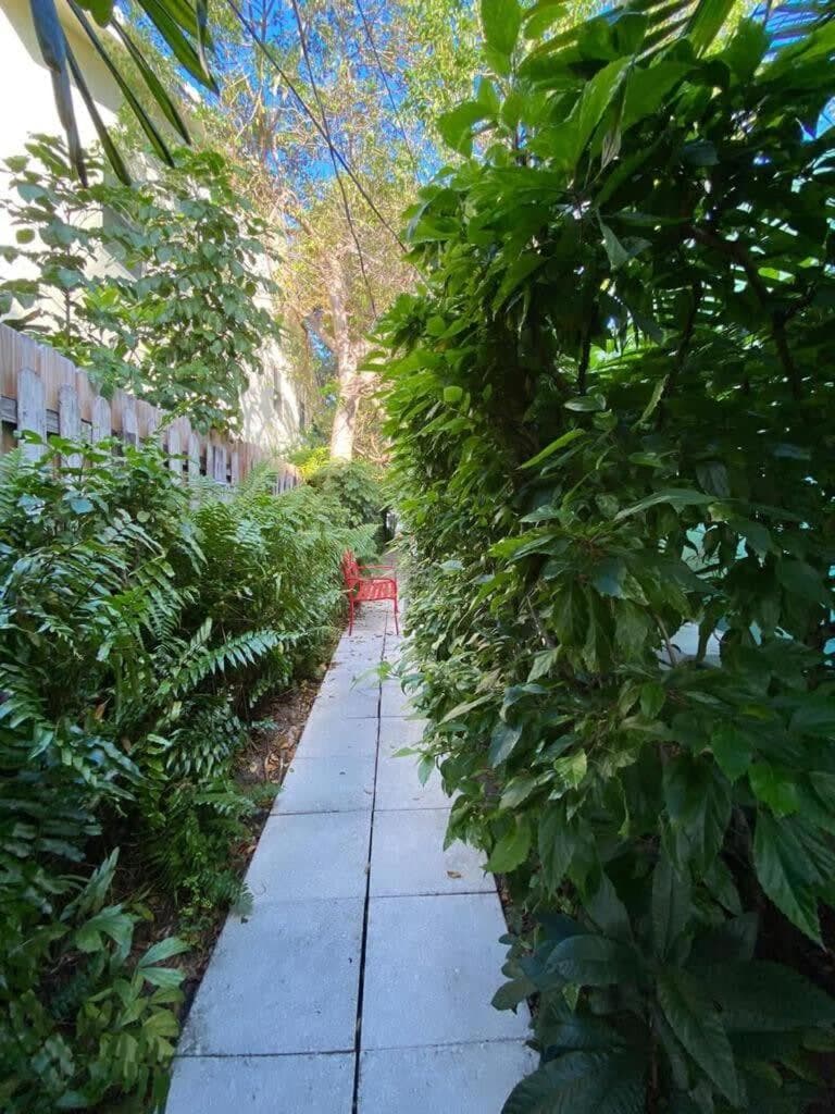 Welcoming Airbnb Walkig distance to Las Olas Blvd — 19