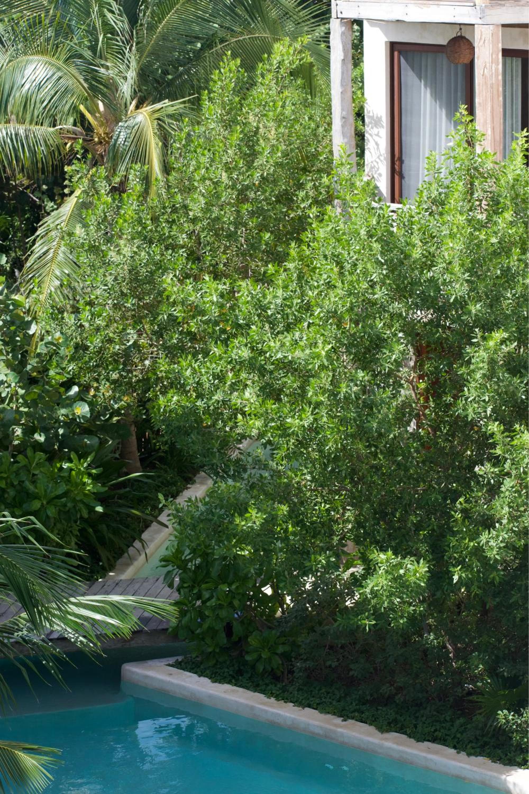 Nerea Tulum — 10