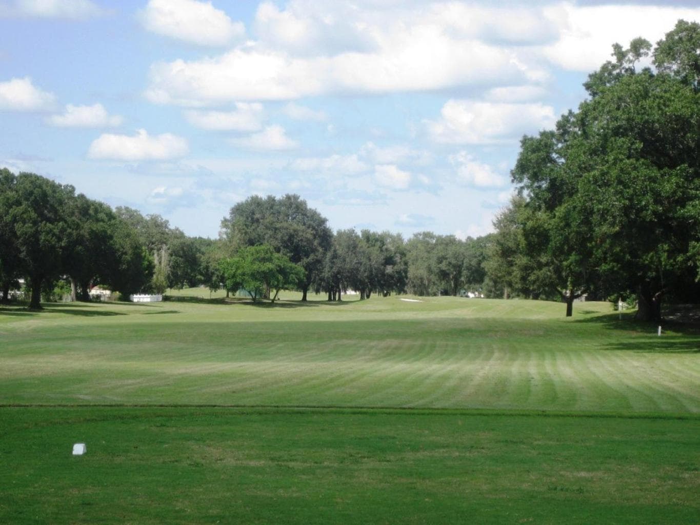 House near Tampa Zoo and Busch Garden and Downtown — 15