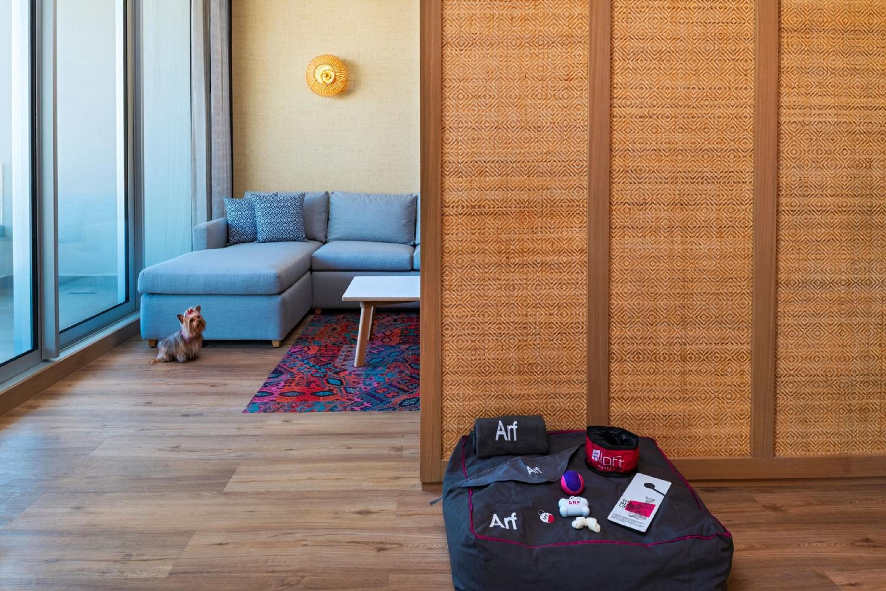 Aloft by Marriott Playa del Carmen — 14