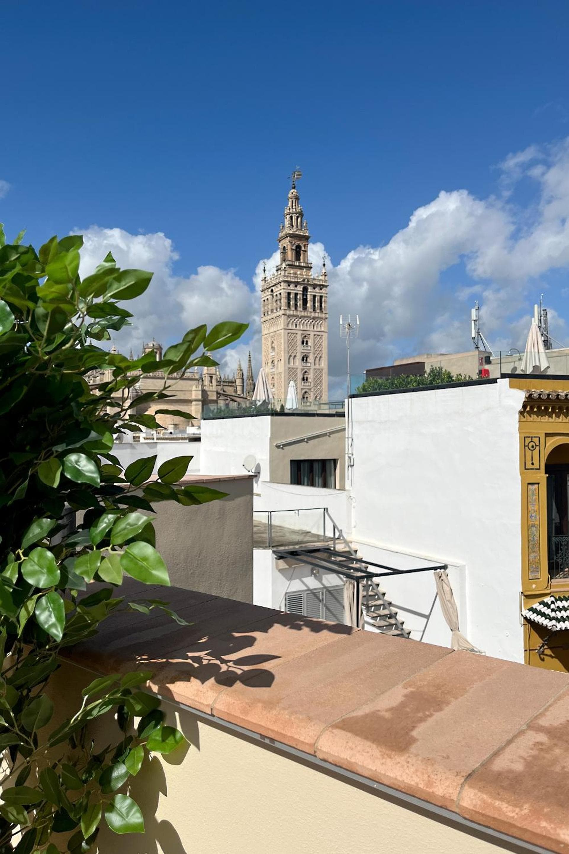 Genteel Home Rodrigo Caro — 2