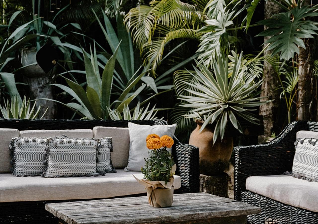 Hotel Bardo - Adults Only hotel, Av La Selva entre Kohunlich Xcaret Y, Tulum, Mexico — photo 13