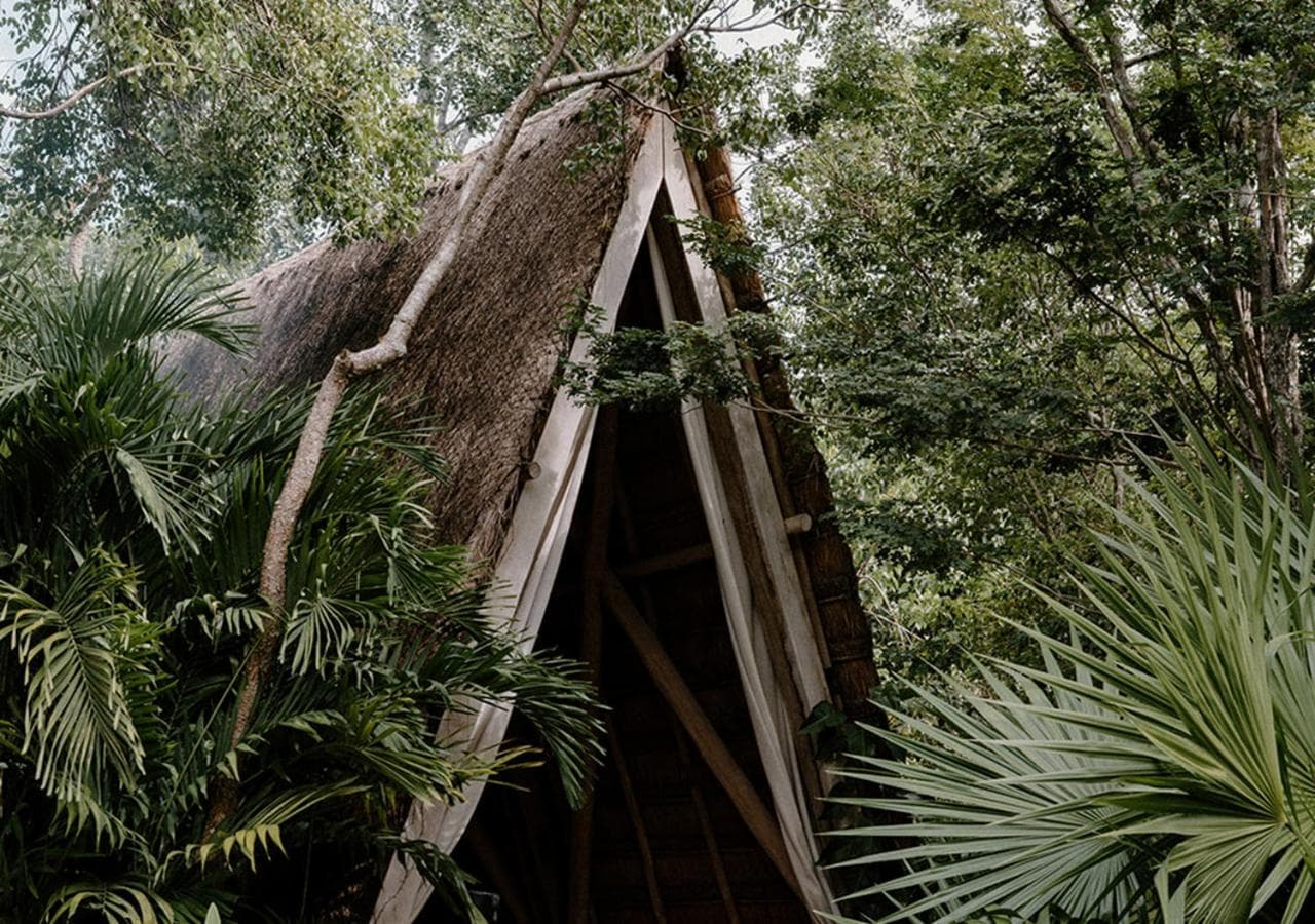 Hotel Bardo - Adults Only hotel, Av La Selva entre Kohunlich Xcaret Y, Tulum, Mexico — photo 1