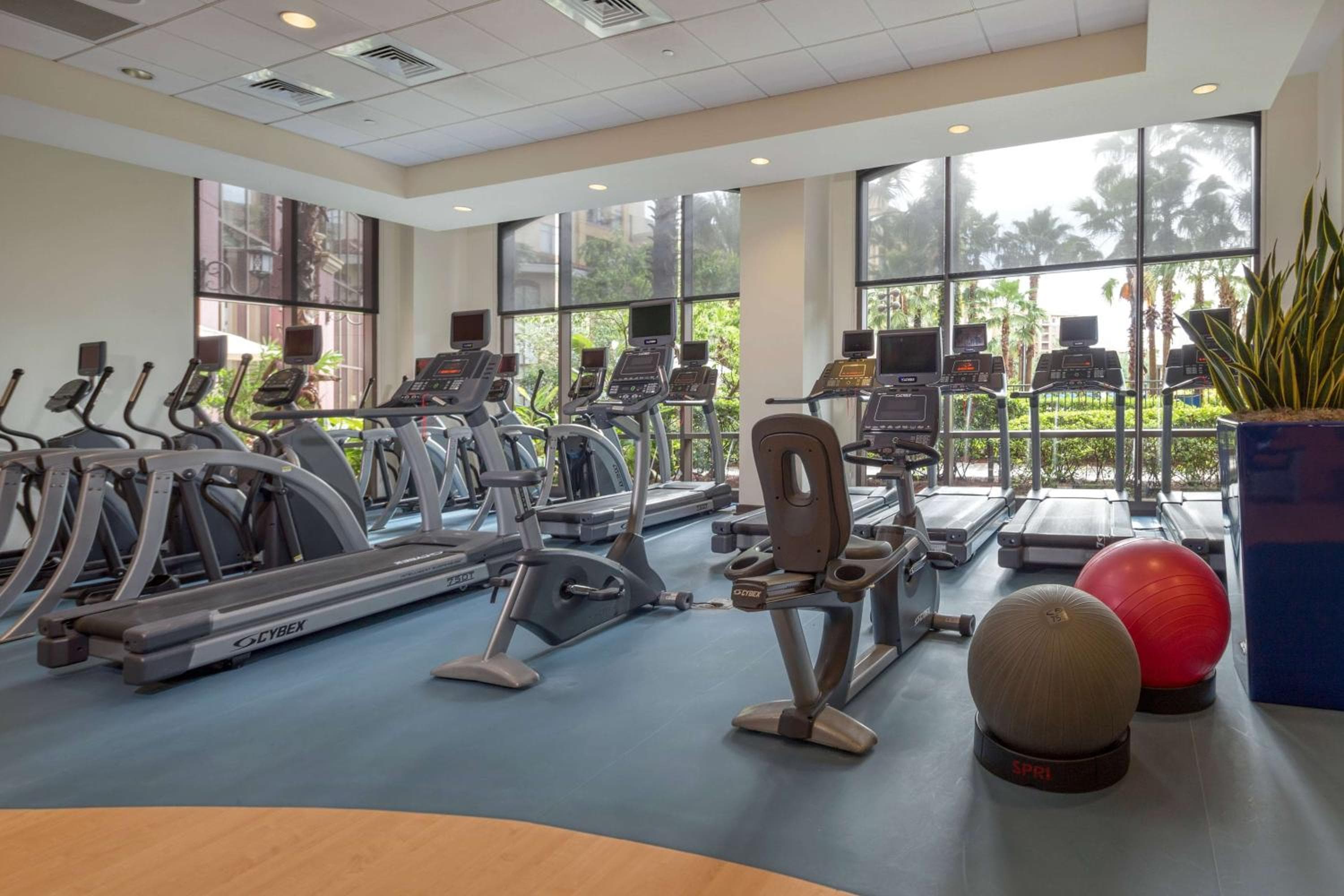 Wyndham Grand Orlando Resort Bonnet Creek — 8