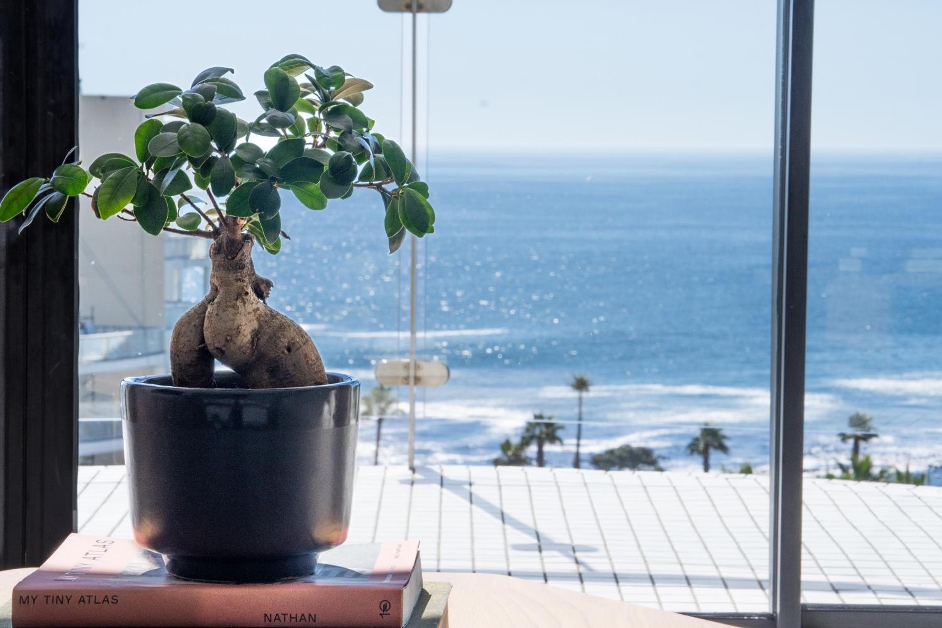 President Hotel hotel, 4 Alexander Road, Bantry Bay, Cape Town, South Africa — photo 42