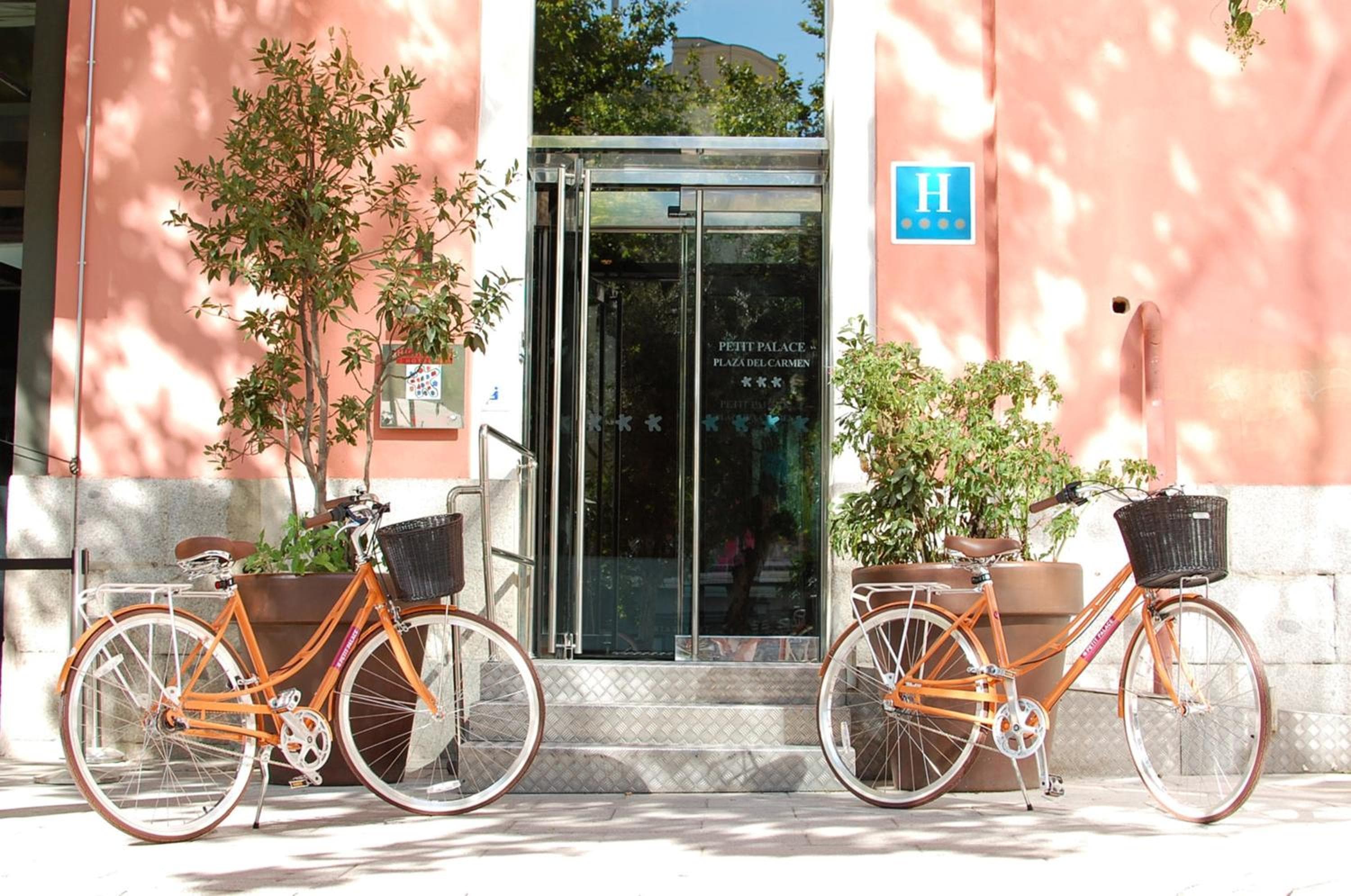 Petit Palace Plaza del Carmen — 7