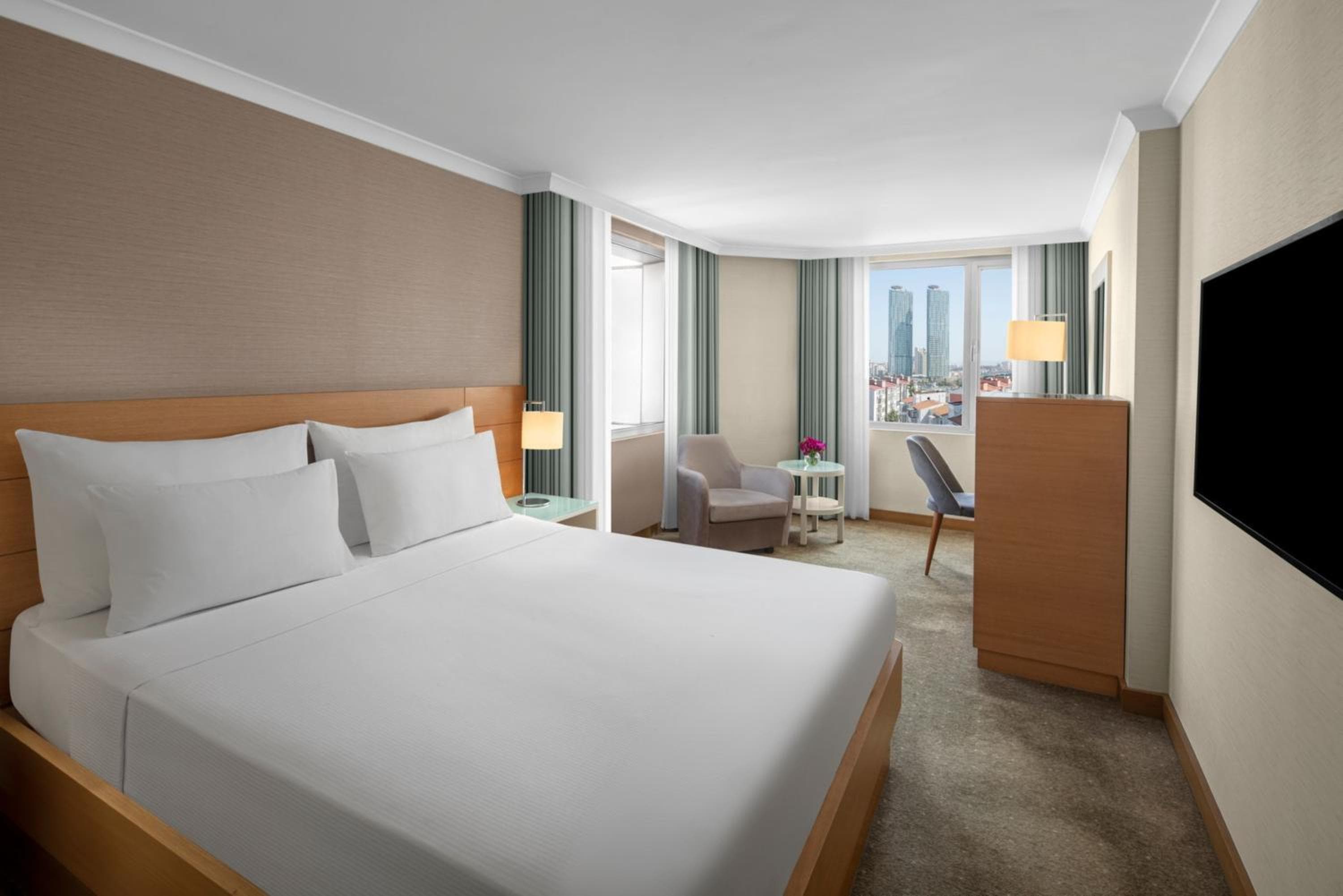 Dedeman Estambul — 11