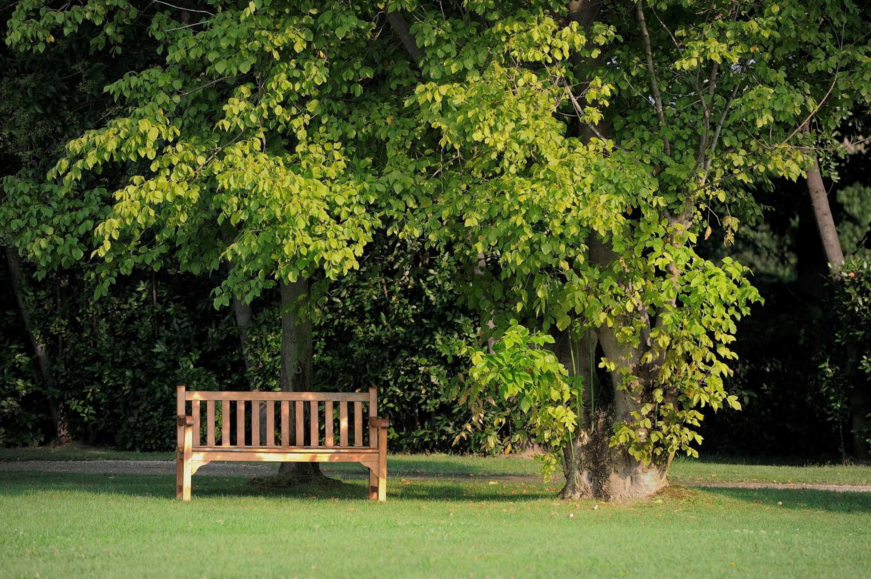 San Clemente Palace Venice hotel, Isola Di San Clemente 1, Venice, Italy — photo 138