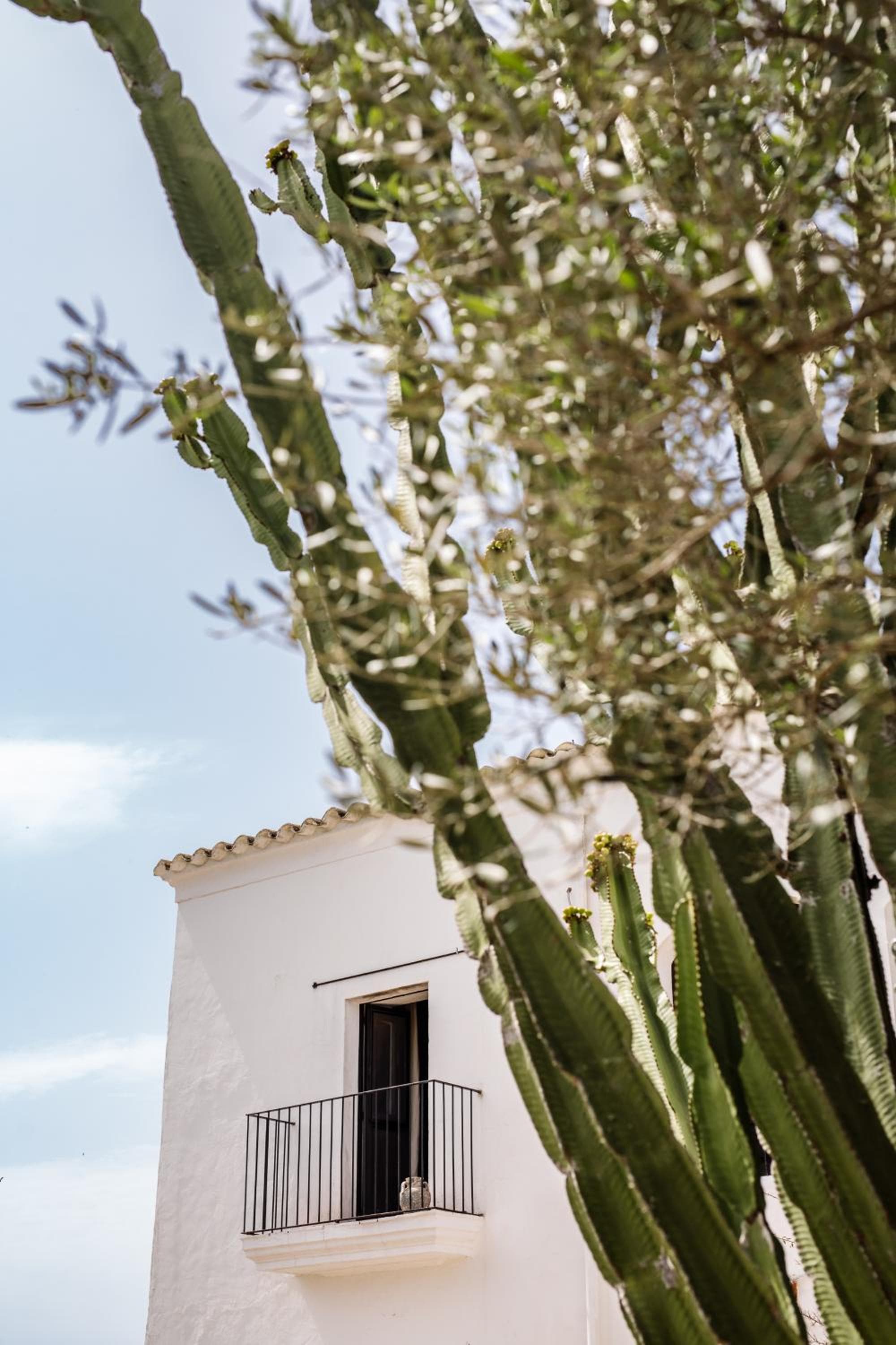 Finca Legado Ibiza — 3