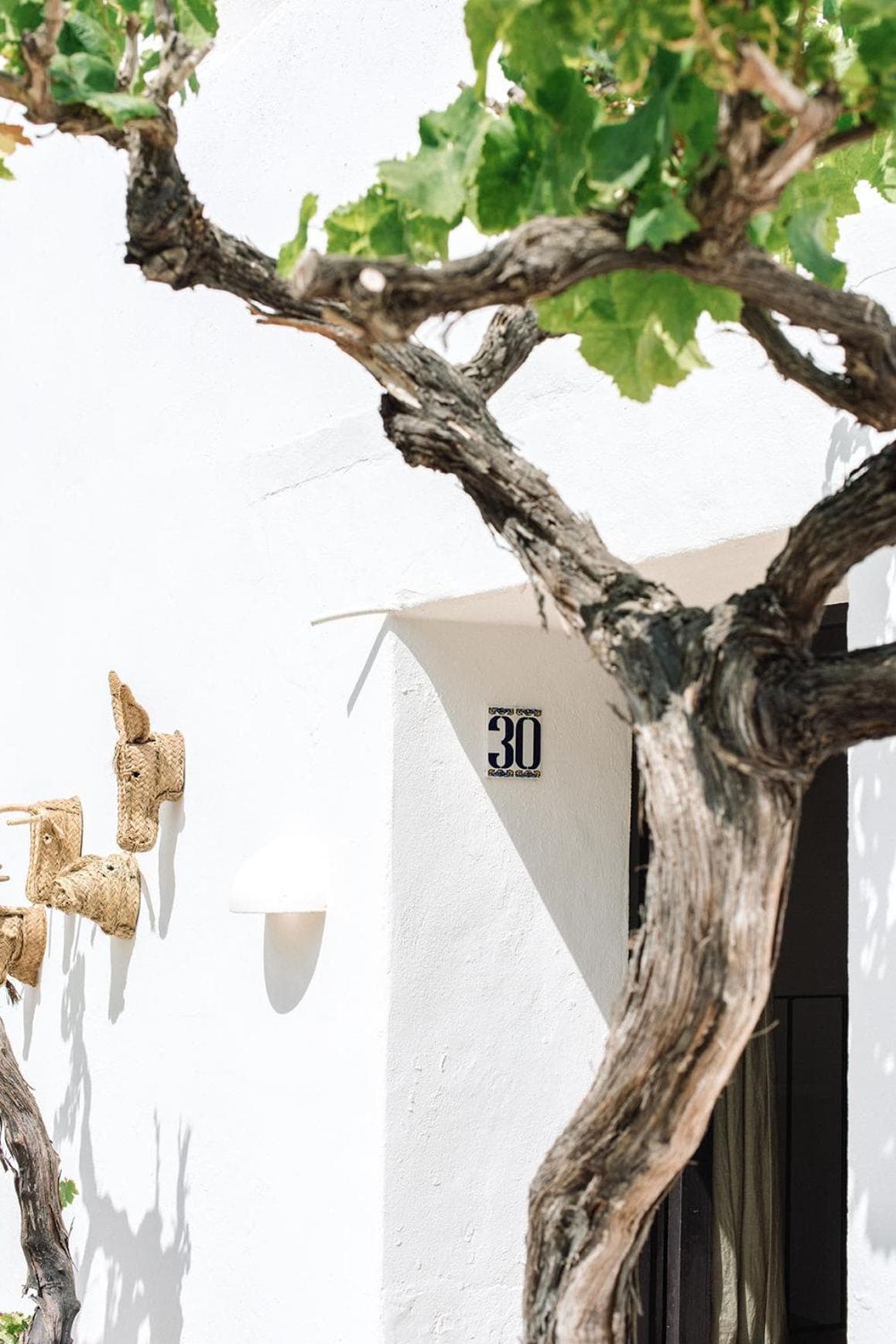 Finca Legado Ibiza — 15