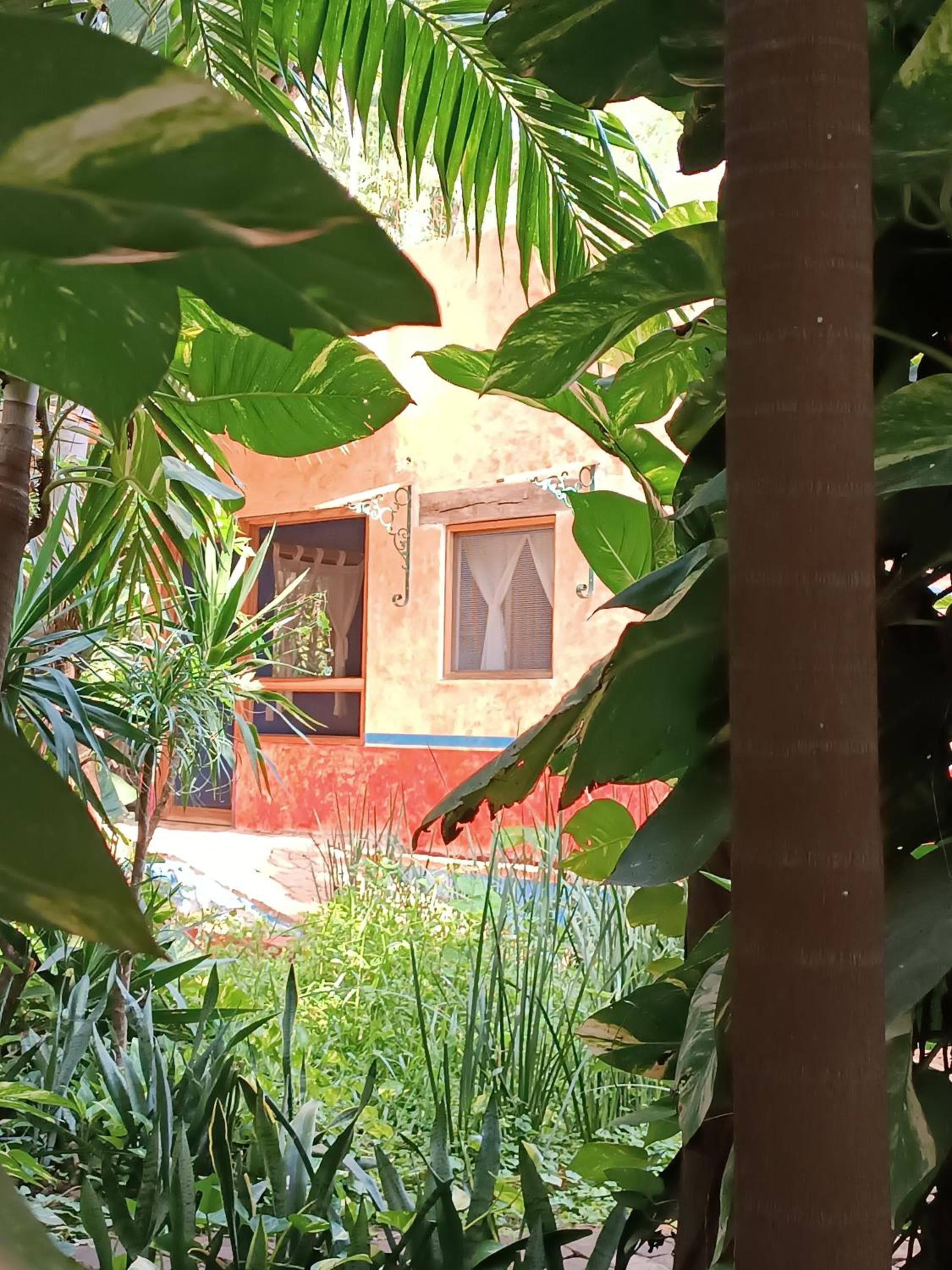 Jungle Lodge CANCUN AEROPUERTO — 7