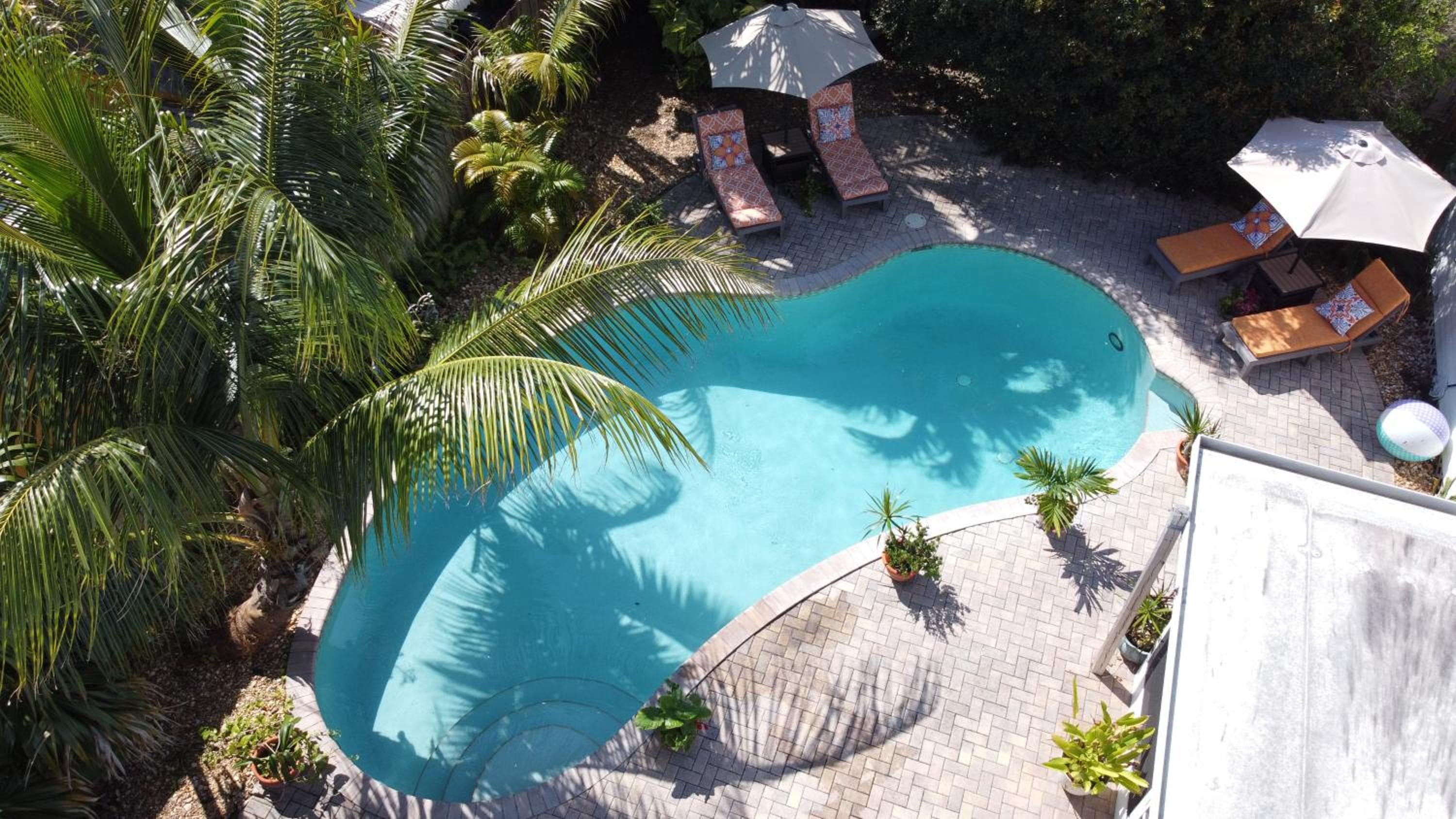 The Ave House- Private Oasis Retreat W/heated Pool — 8