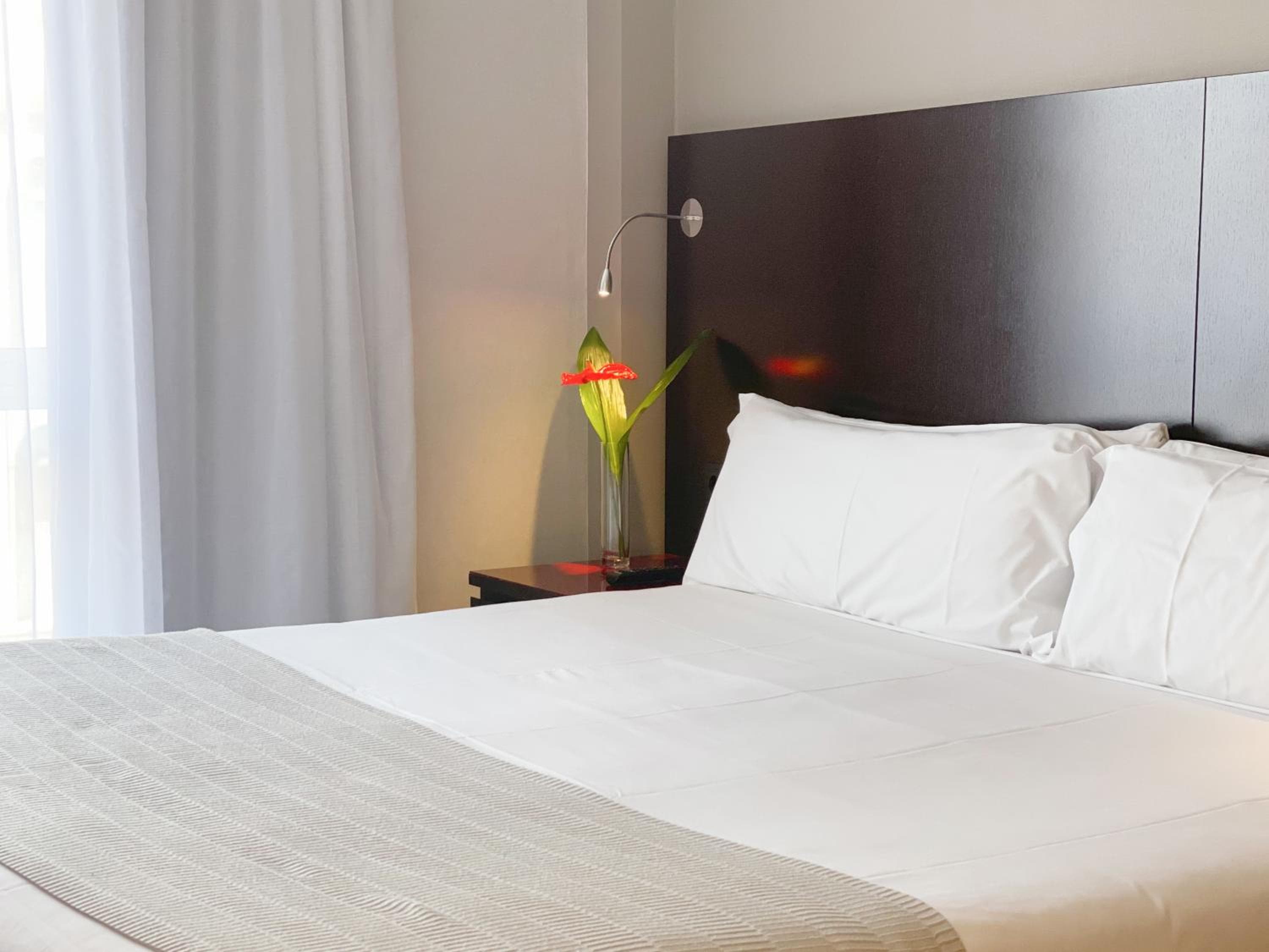 SM Hotel Sant Antoni — 24