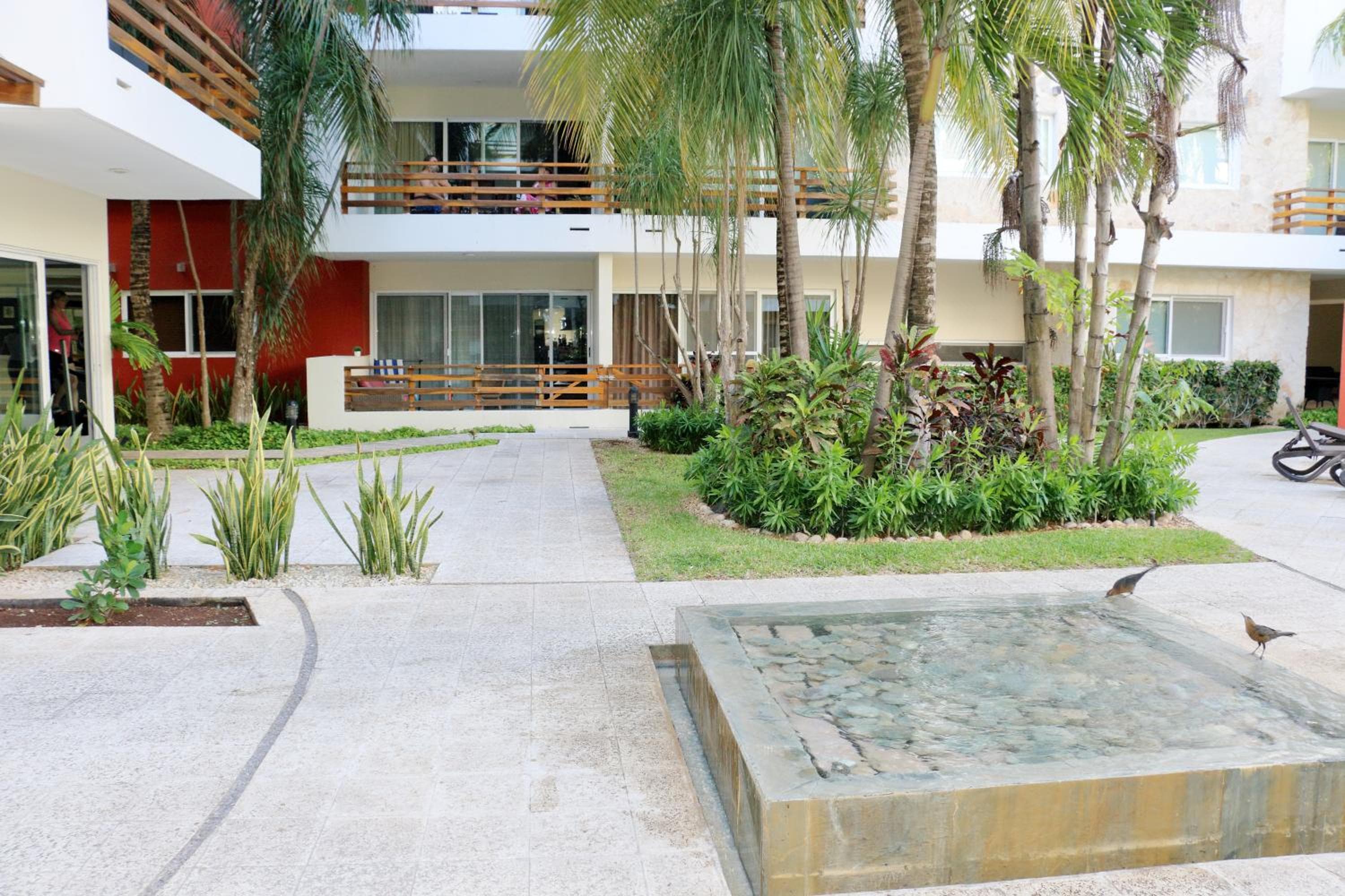 Luxury Coral Dream — 7