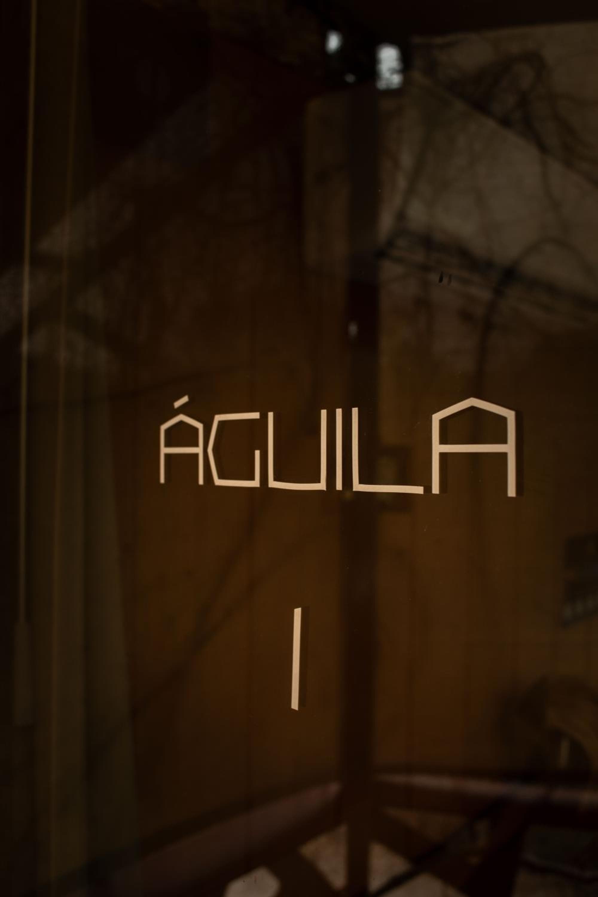 Bufo Alvarius — 19