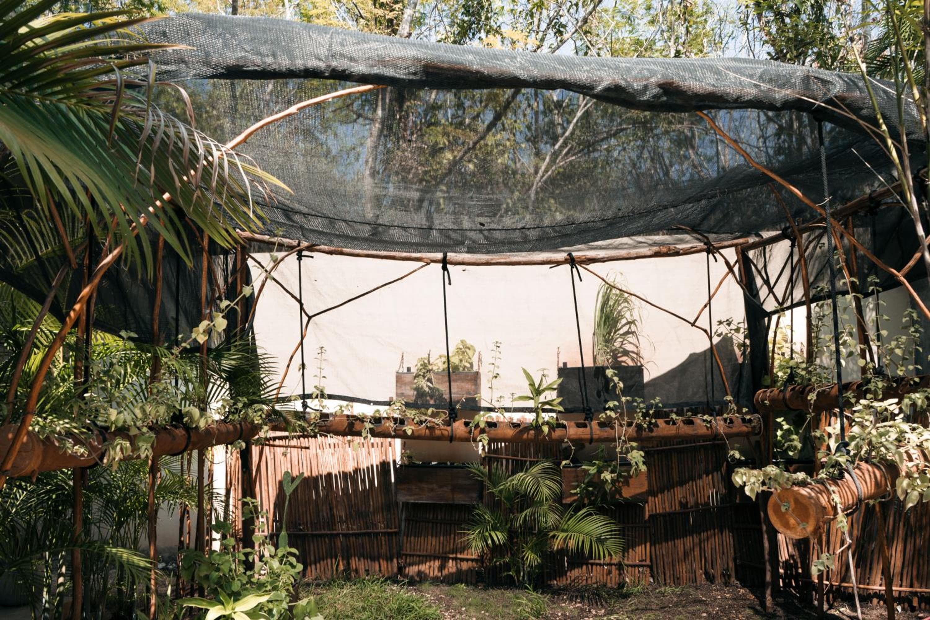 Kinah Retreat - Exclusive Boho Tropical Escape — 13