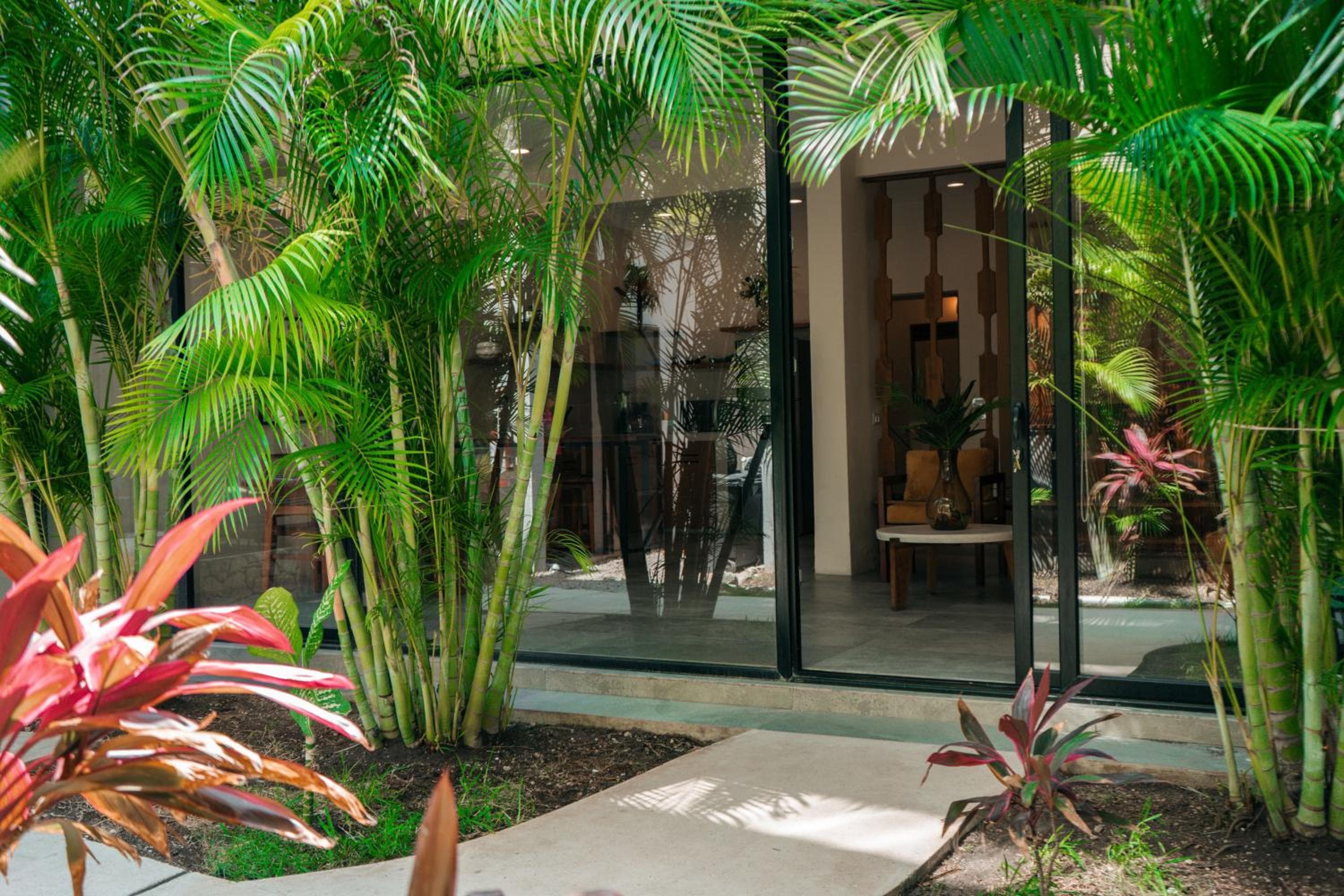 Kinah Retreat - Exclusive Boho Tropical Escape — 1
