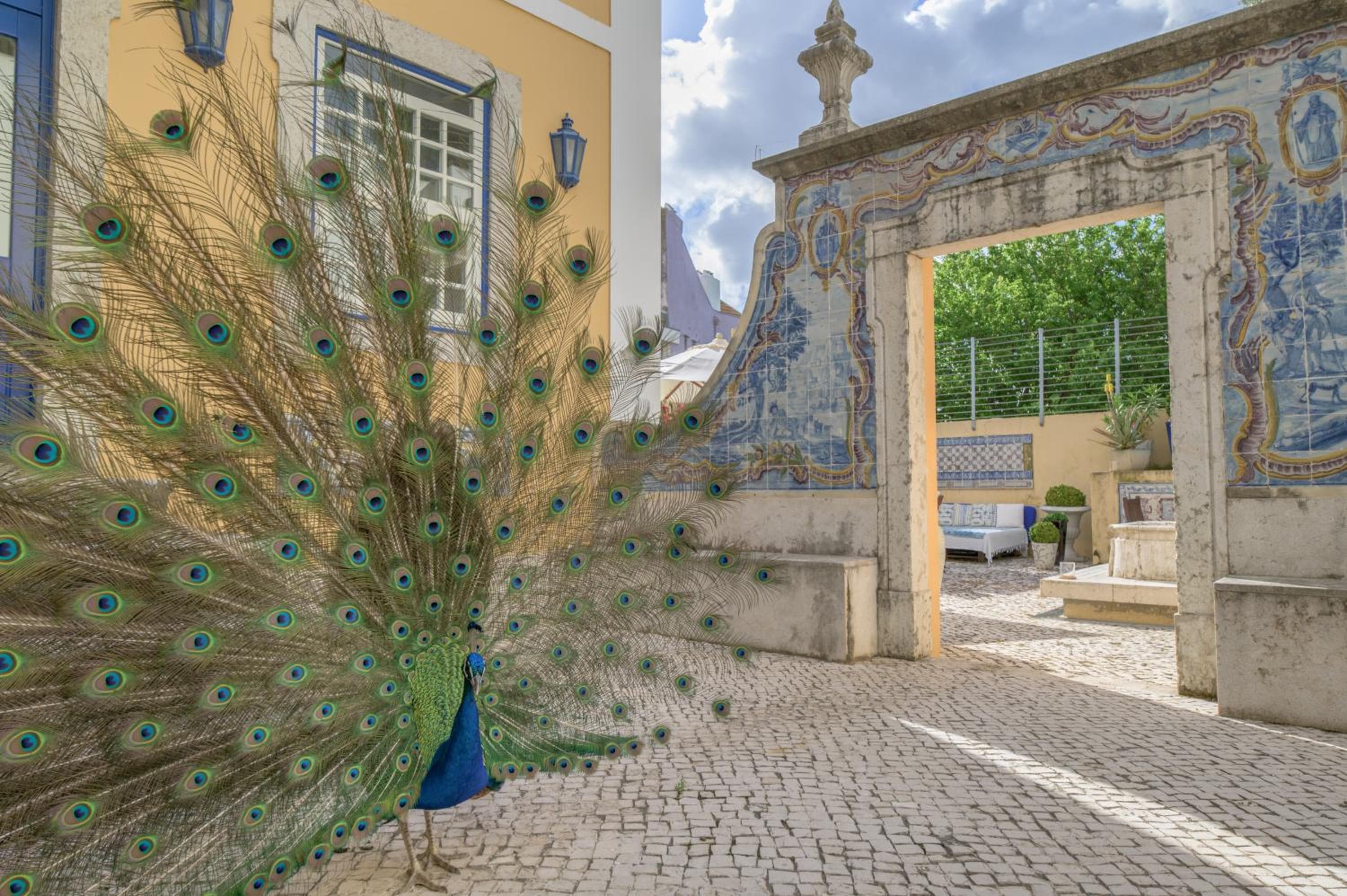 Solar do Castelo - Lisbon Heritage Collection - Alfama — 27