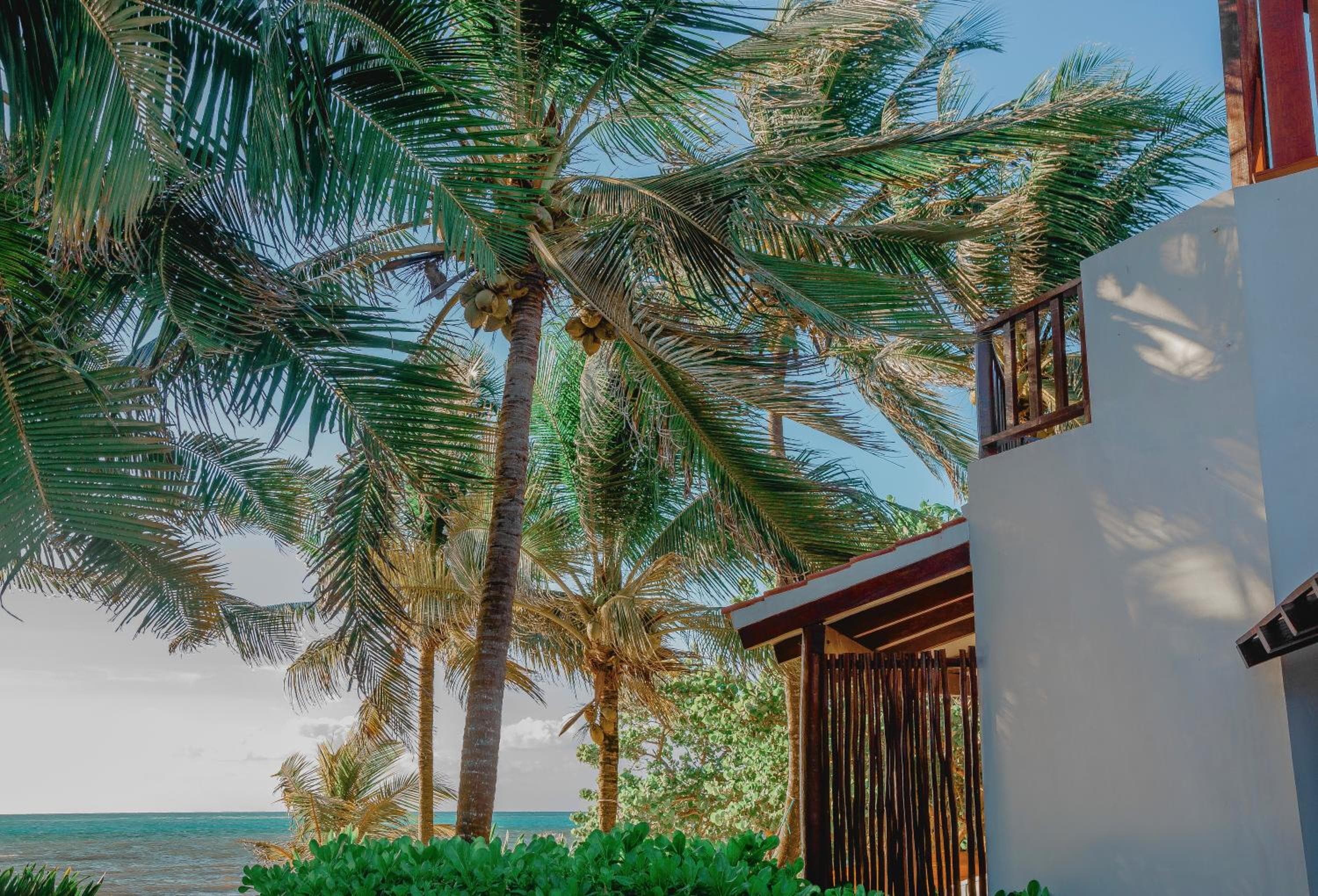 Casa Colibrí Tankah — 23