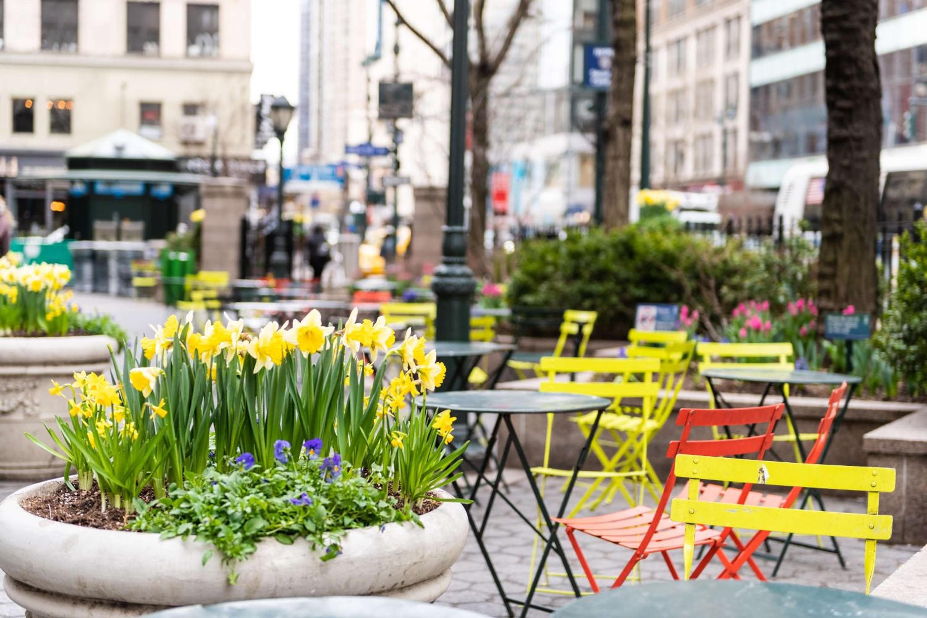 Martinique New York on Broadway, Curio Collection by Hilton — 25