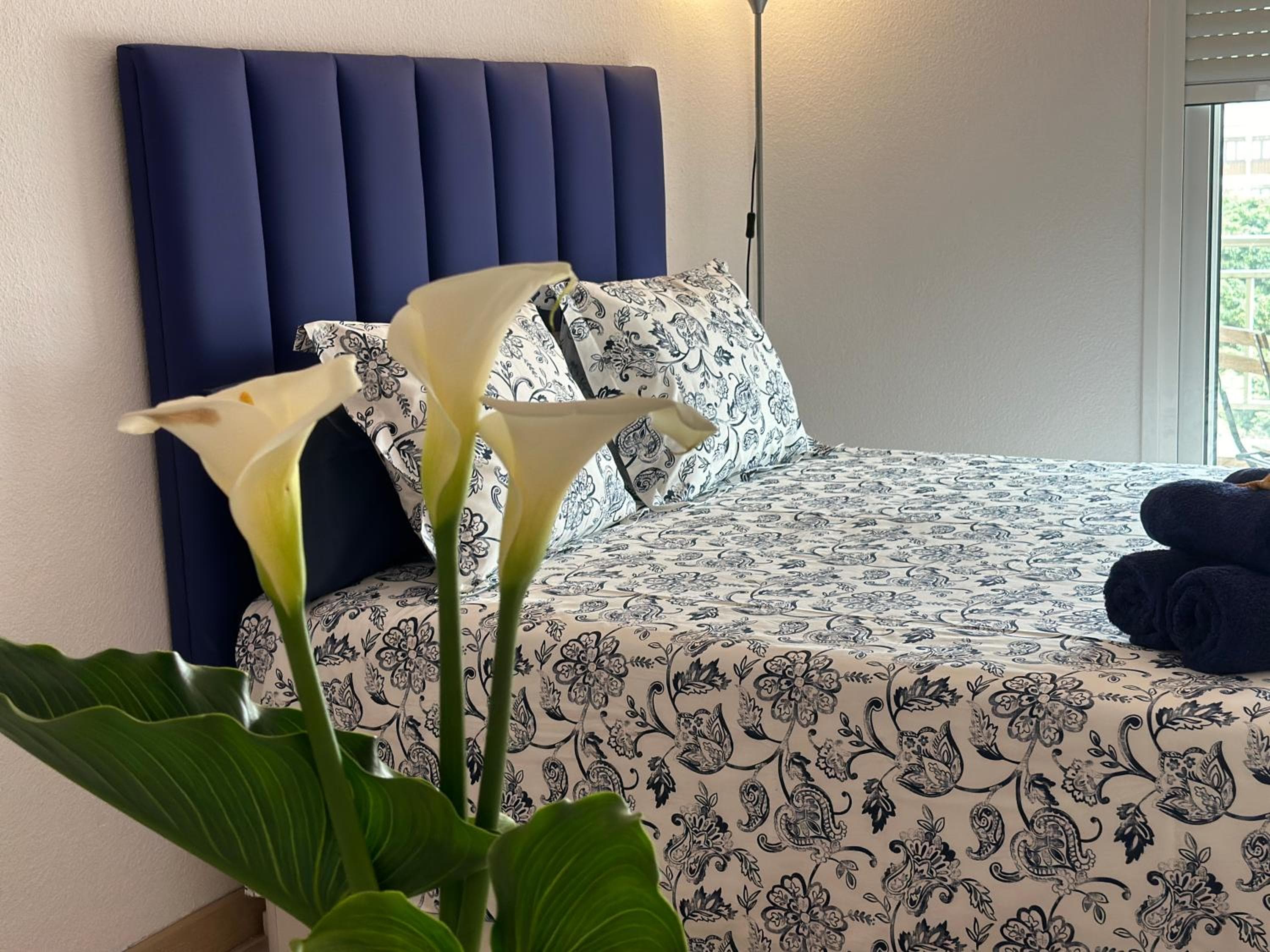 Coco Home Apartamento con vistas — 1