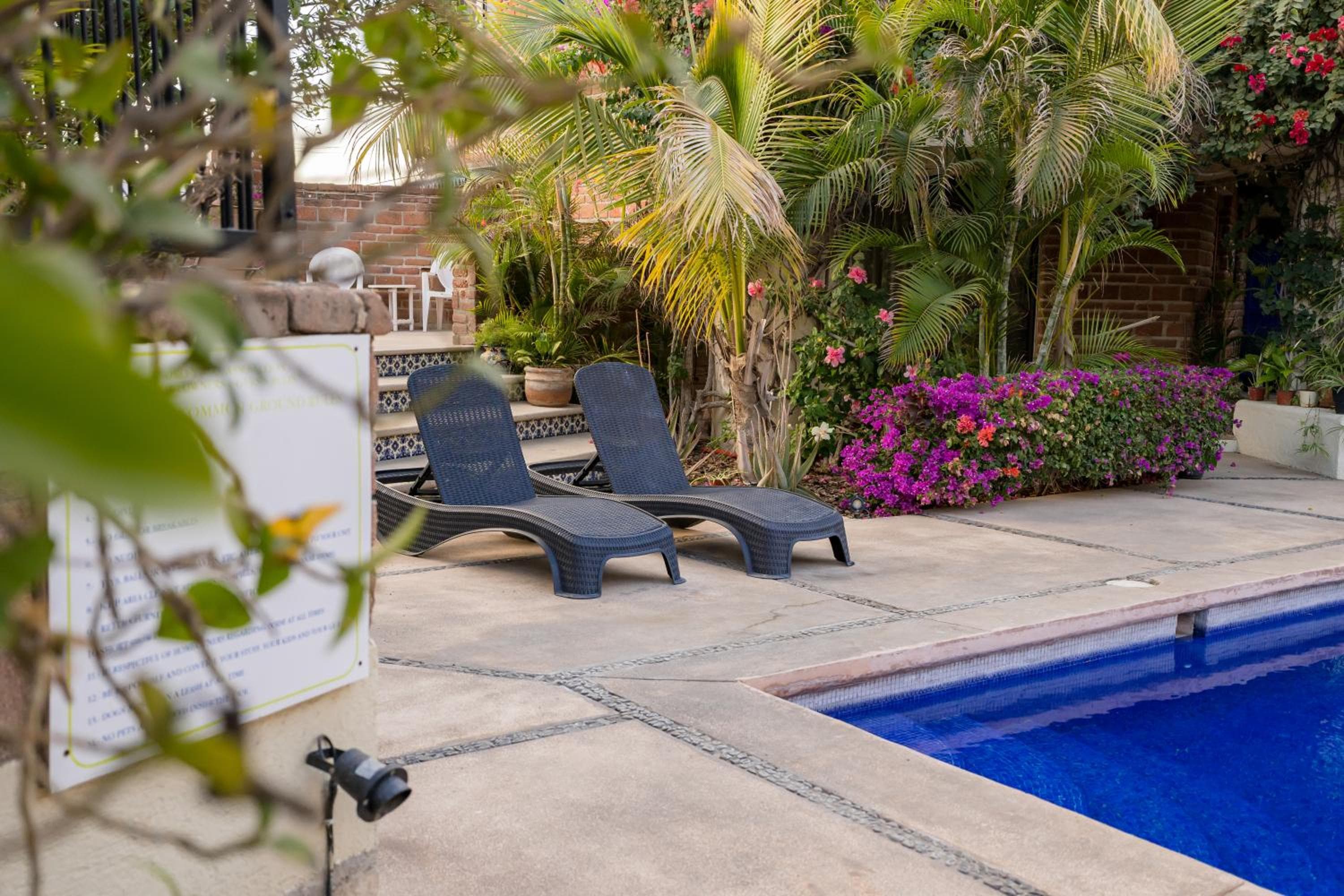 Cabo's Hidden Gem! Steps to the Marina or Beach — 20