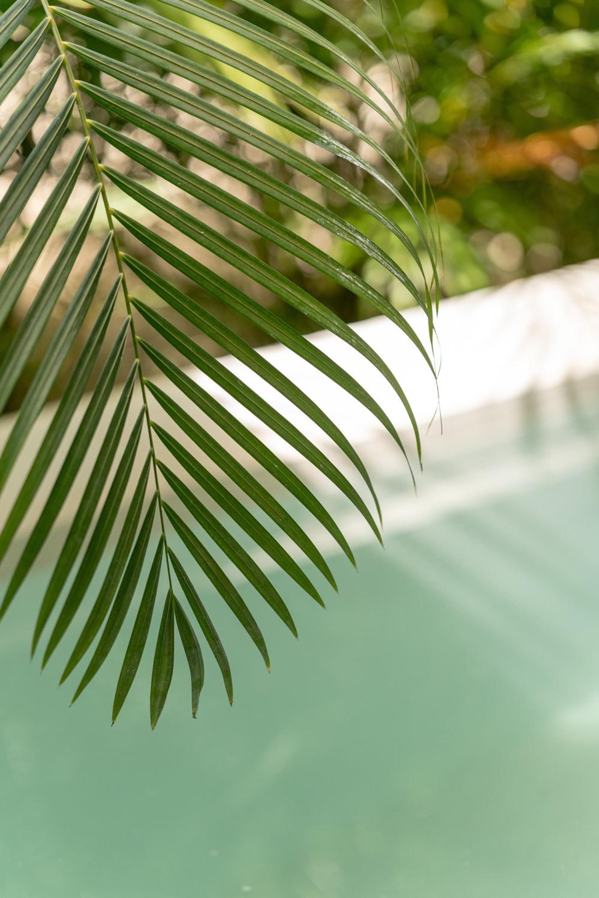 Seremonia Studios by Vida de Playa Rentals — 18
