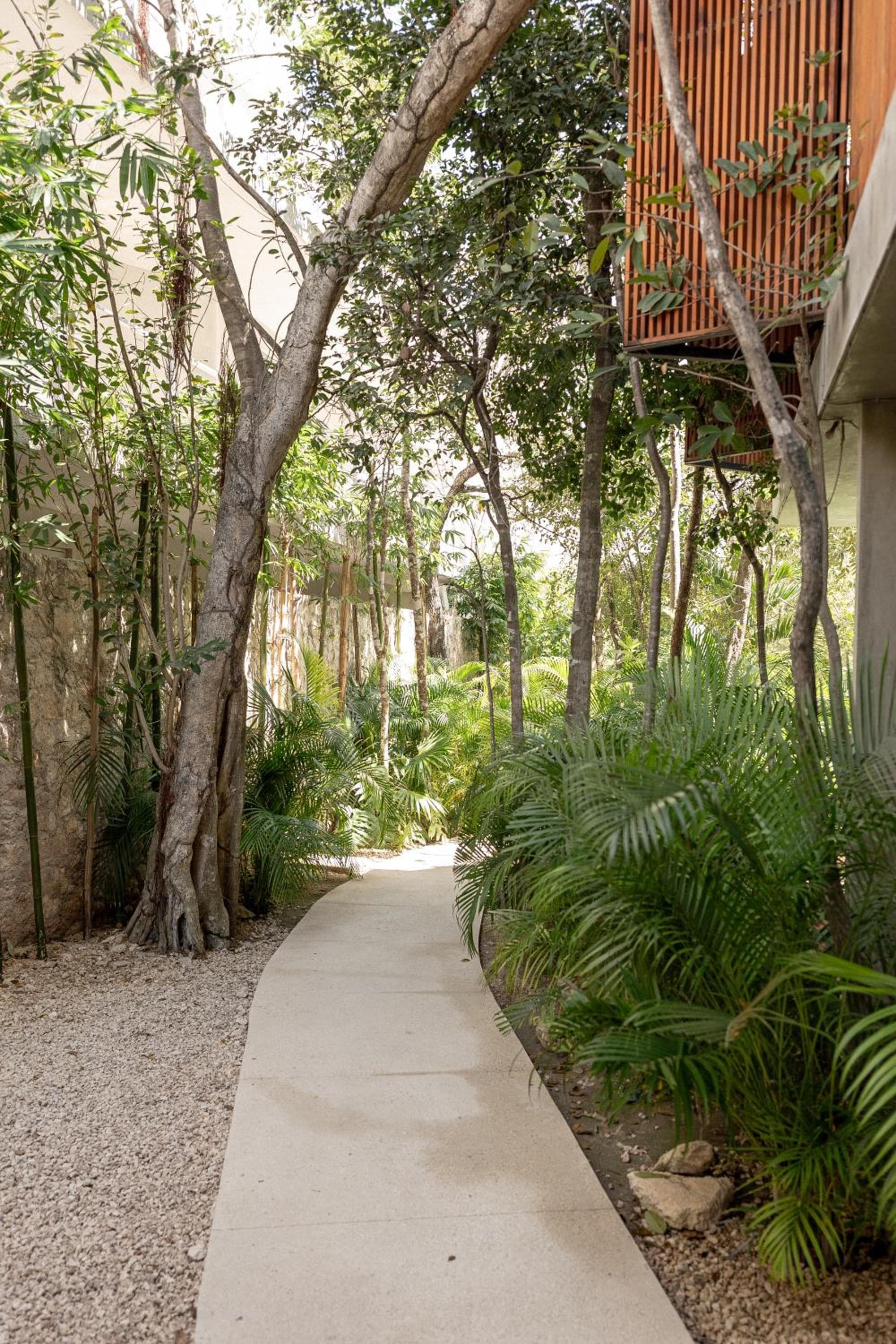 Seremonia Studios by Vida de Playa Rentals — 21