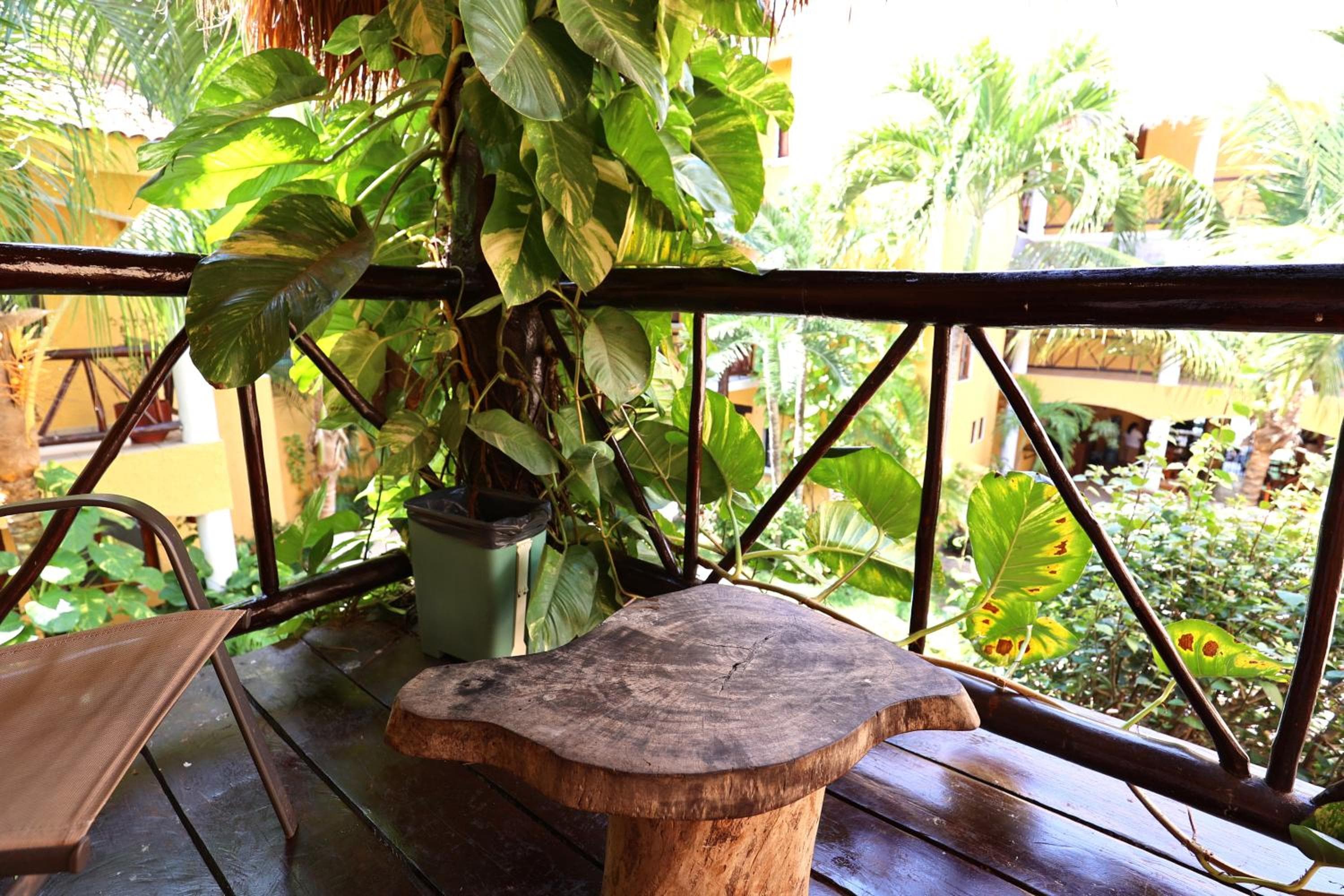 Hotel Bosque Caribe, 5th Av. zone — 9