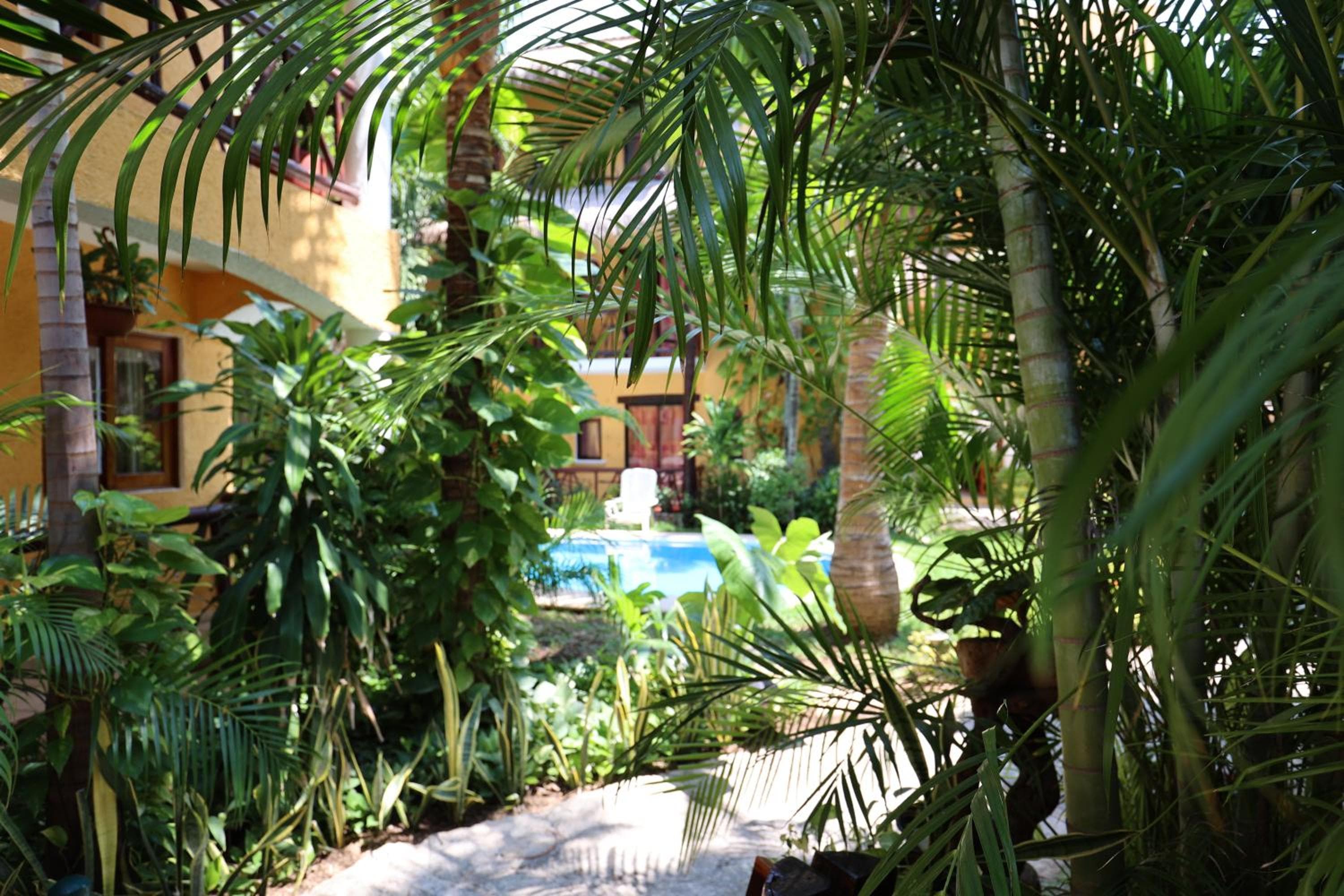 Hotel Bosque Caribe, 5th Av. zone — 13