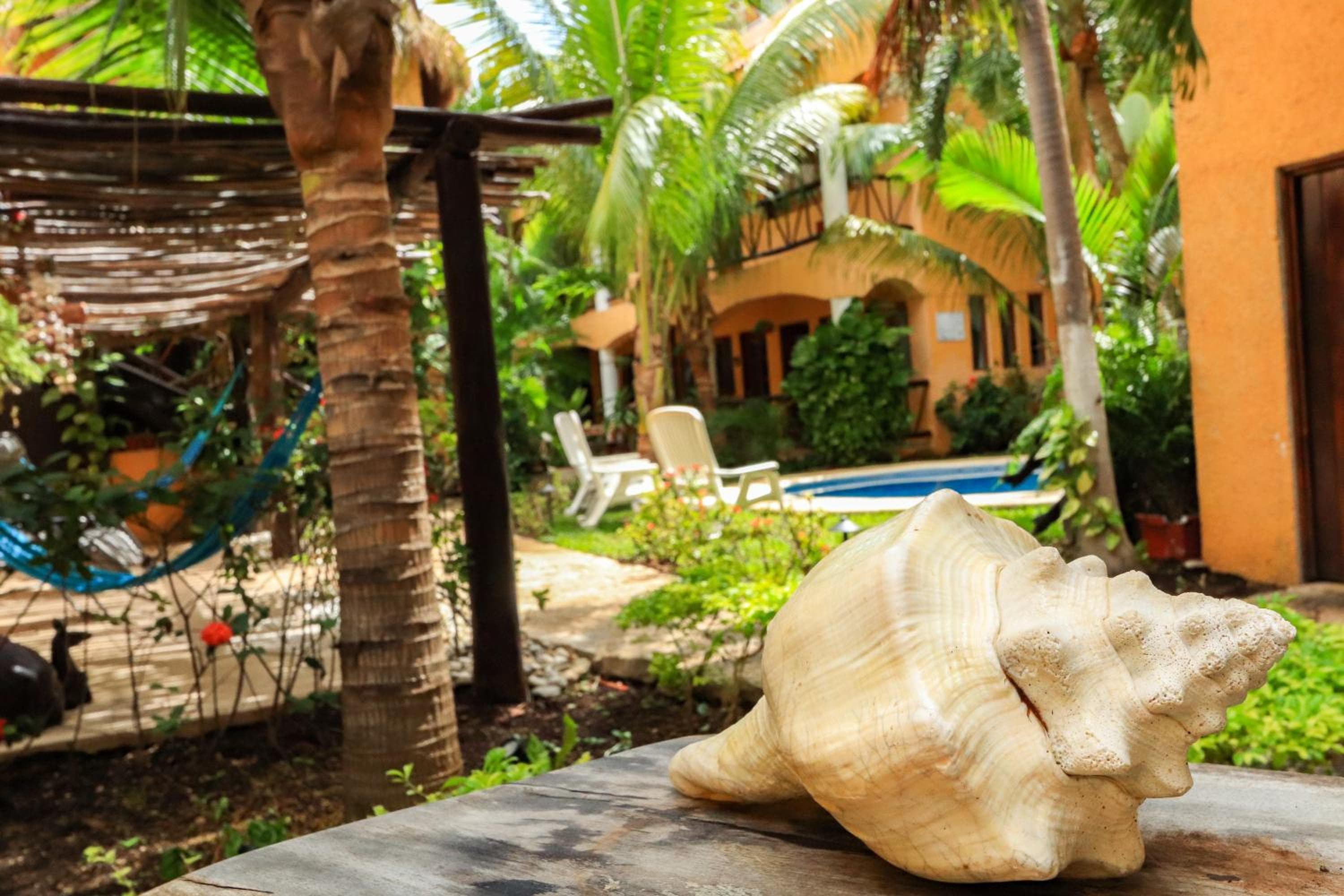 Hotel Bosque Caribe, 5th Av. zone — 23