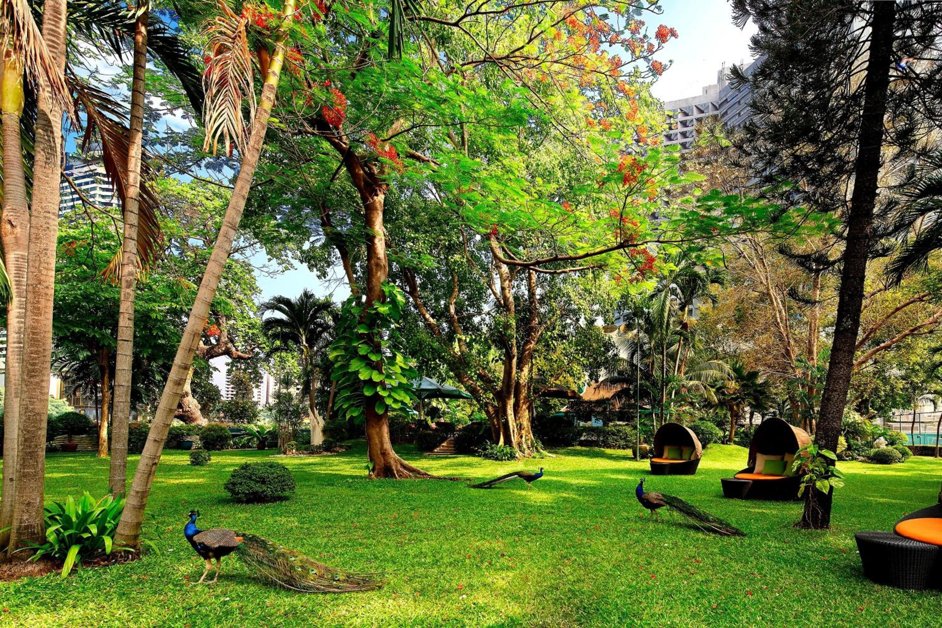 Royal Orchid Sheraton Riverside Hotel Bangkok — 26