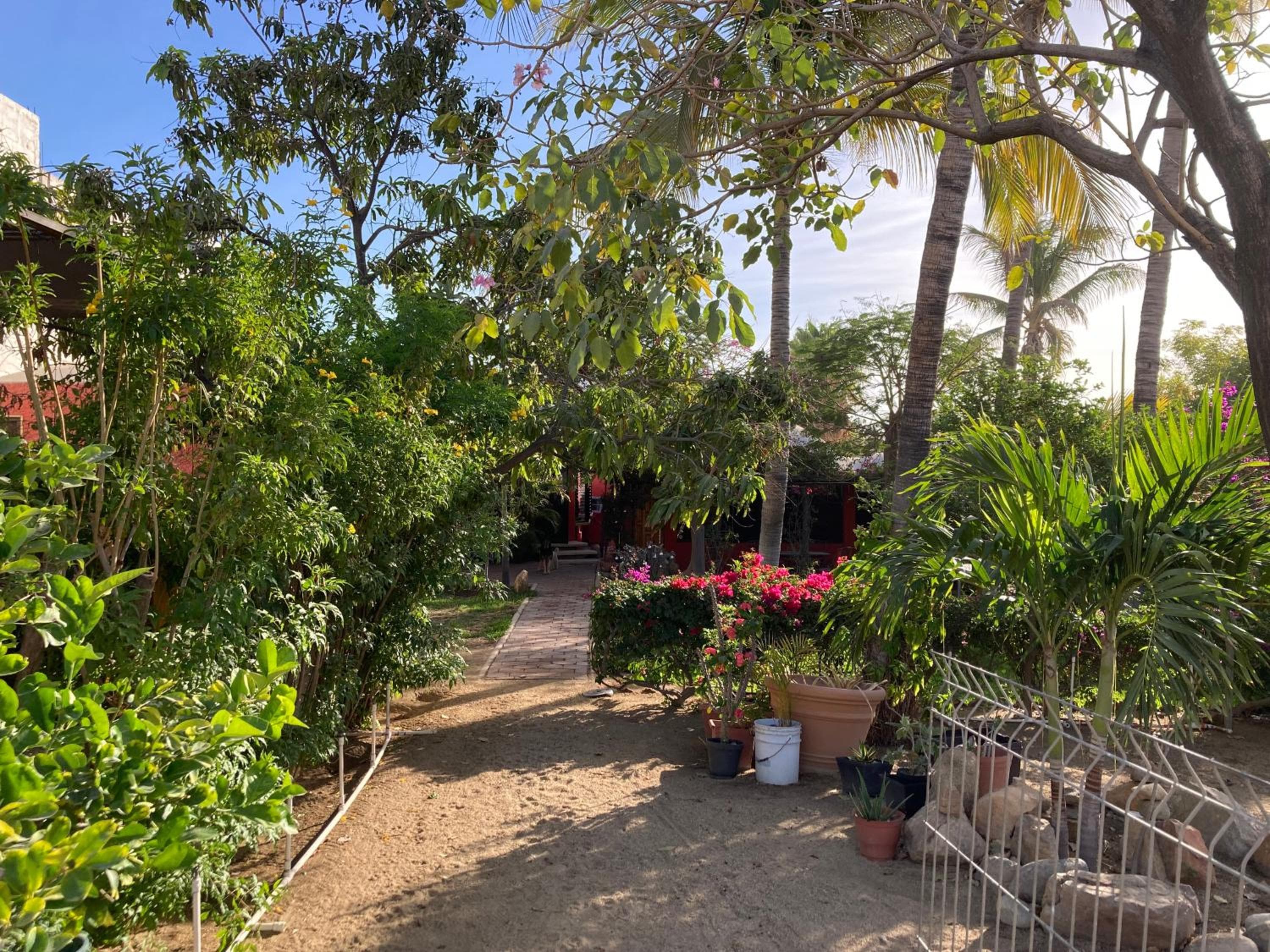 Bungalow Los Cabos — 19