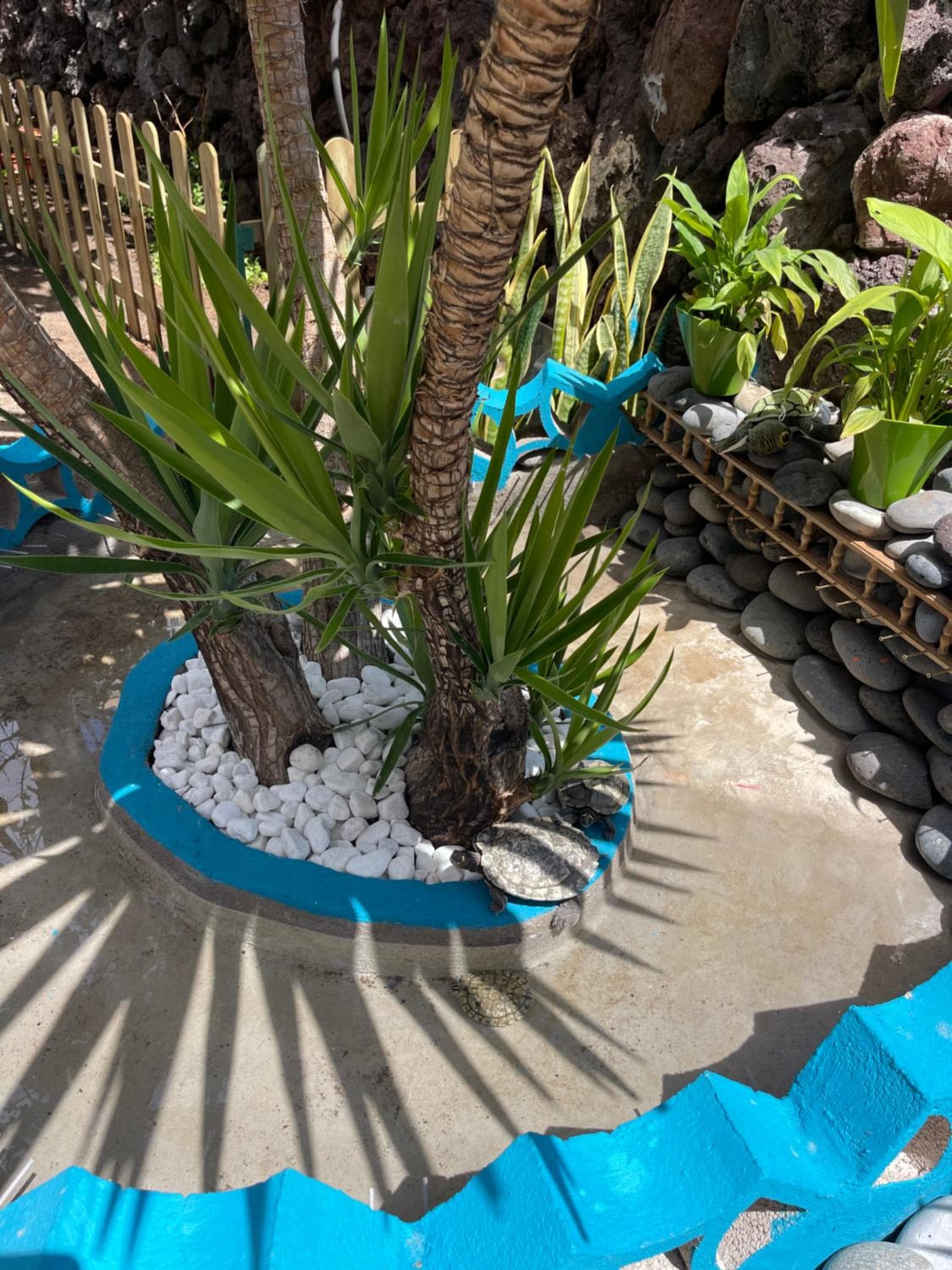 Playa, Pool & Nightlife Steps from Clubs & Beach Las Américas by Aqua Vista Tenerife — 3