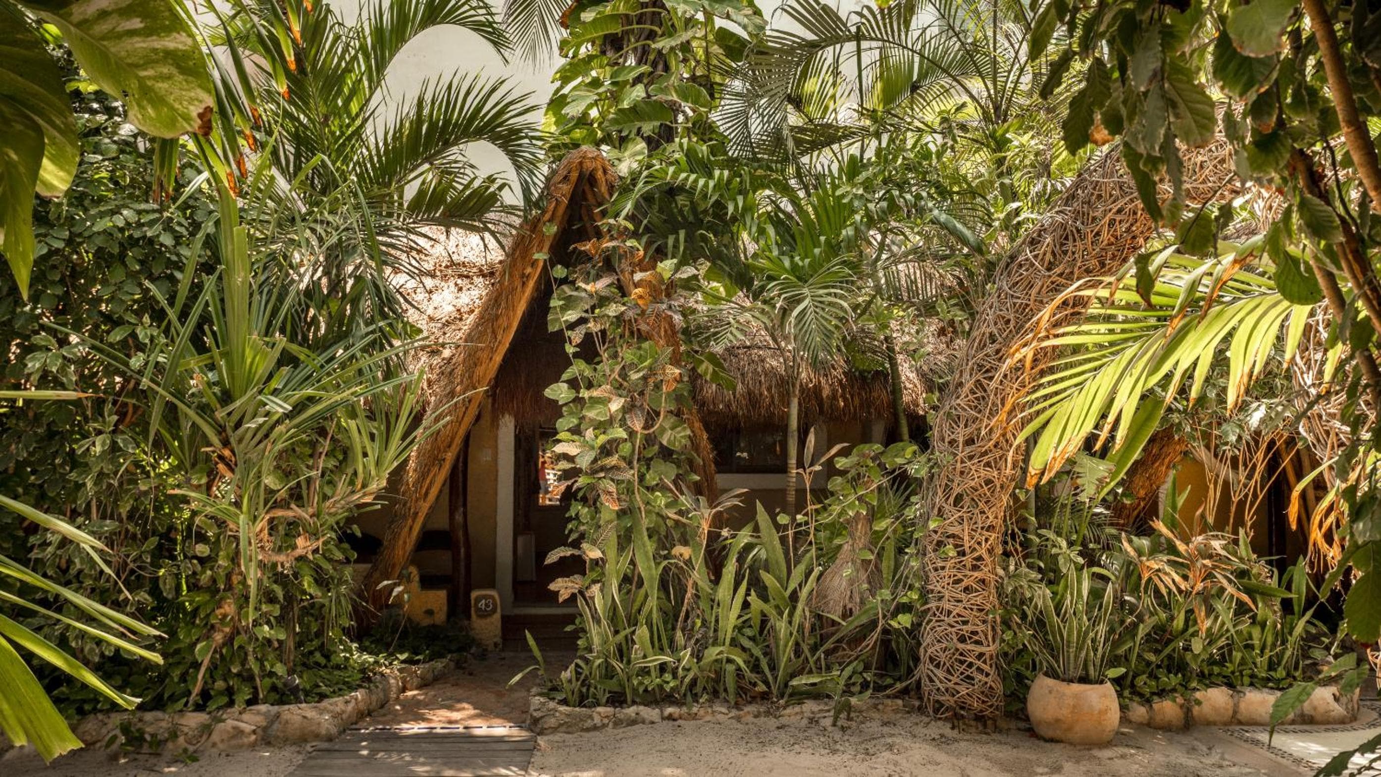 Hotel Casa Colibri — 12