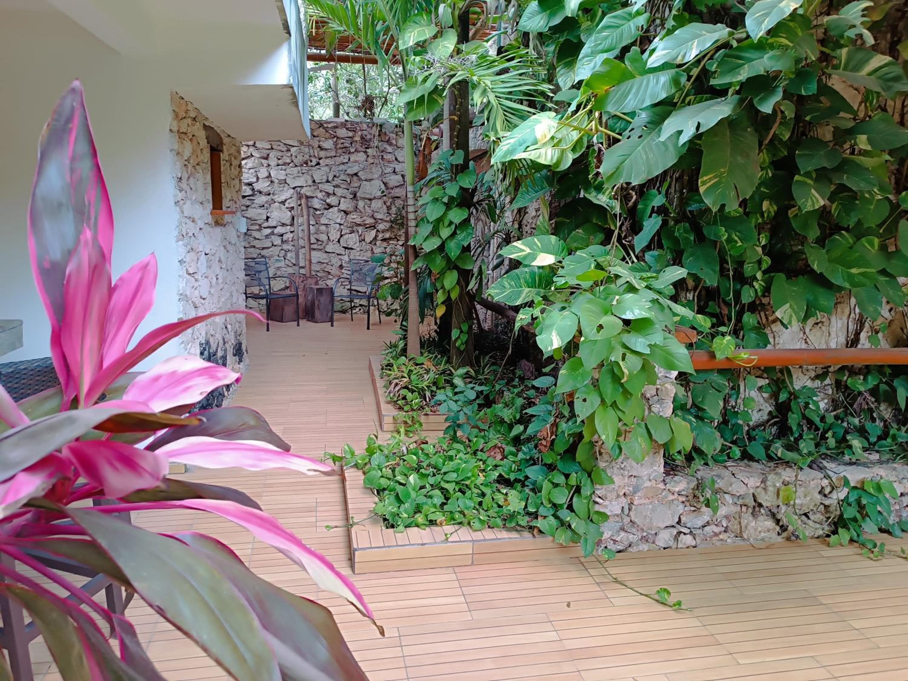 Jungle Lodge CANCUN AEROPUERTO — 15