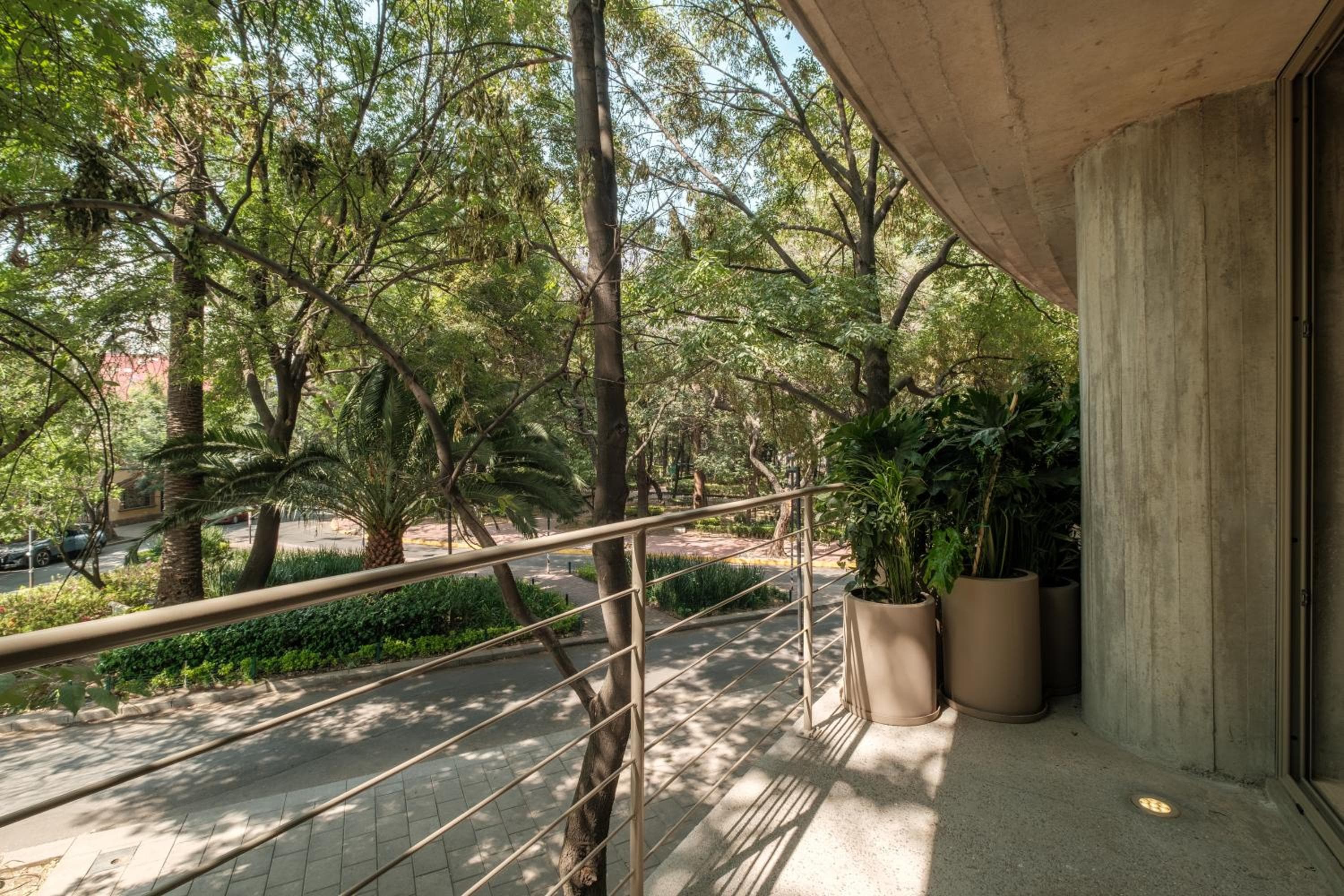 Nido Parque Mexico — 24