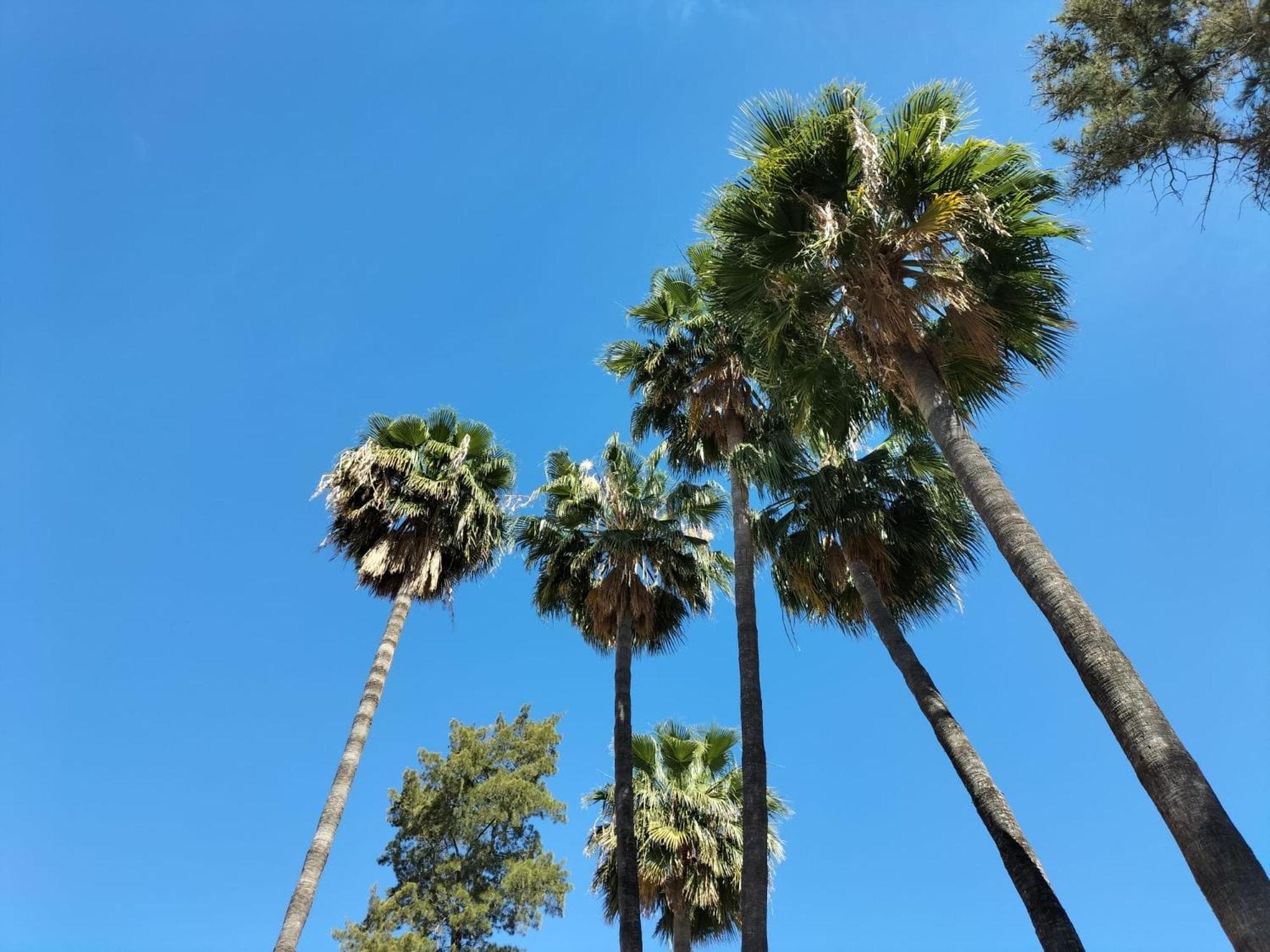 Vas Málaga Ciudad — 3