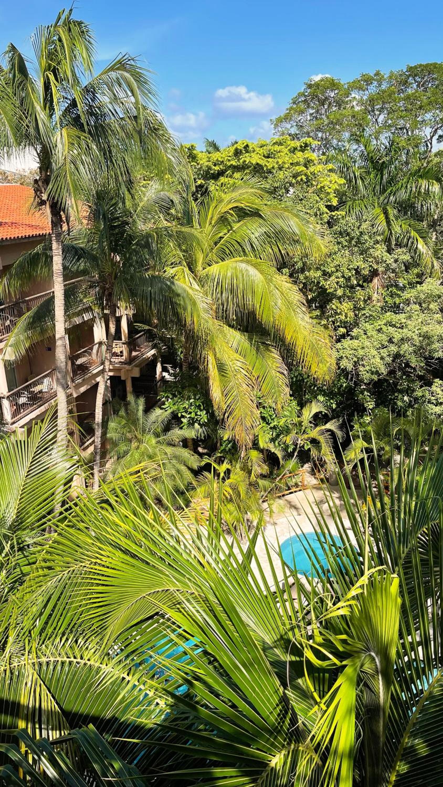 Tukan Hotel Playa del Carmen — 22